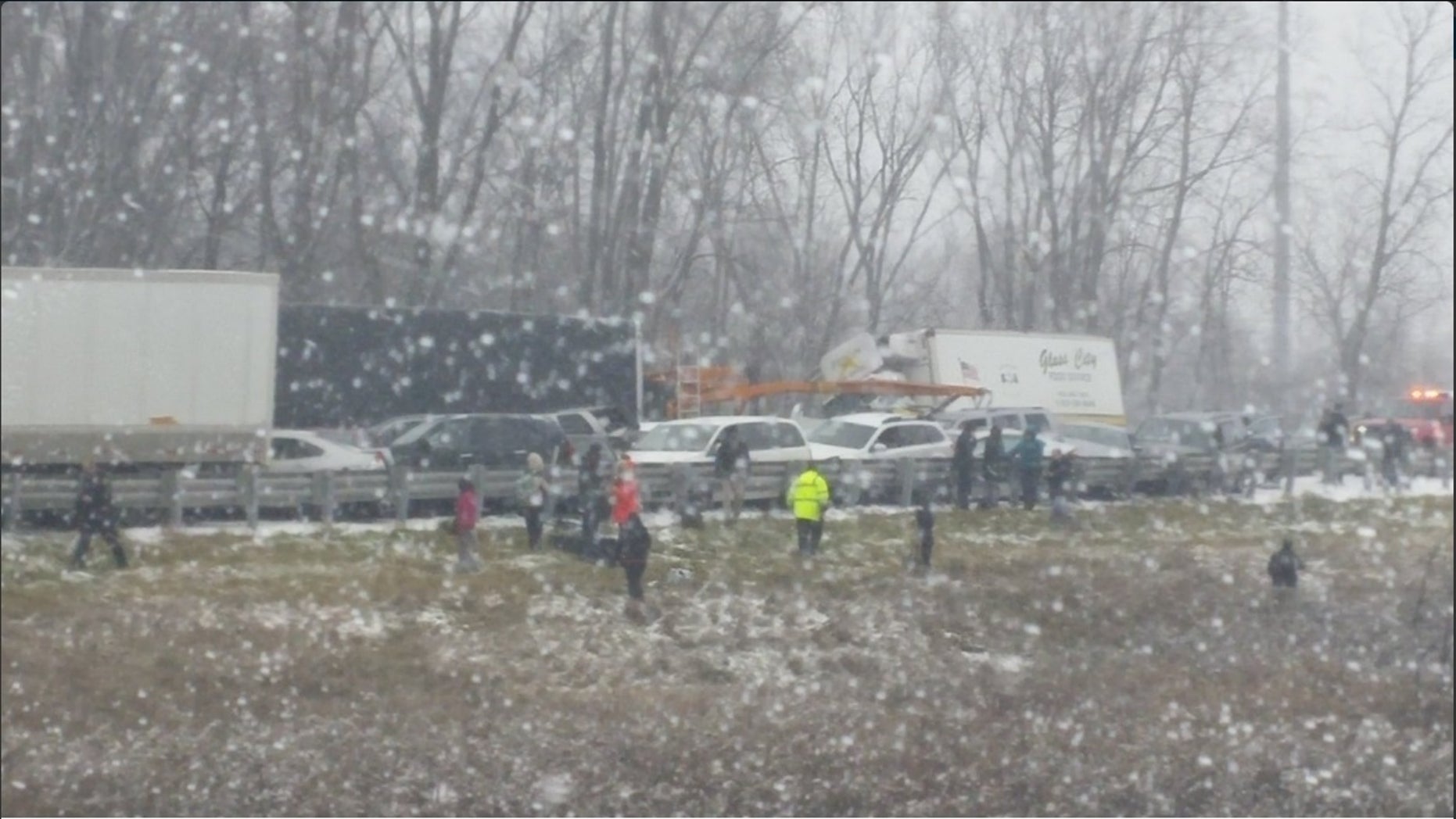Photo of the pileup in Livingston County.