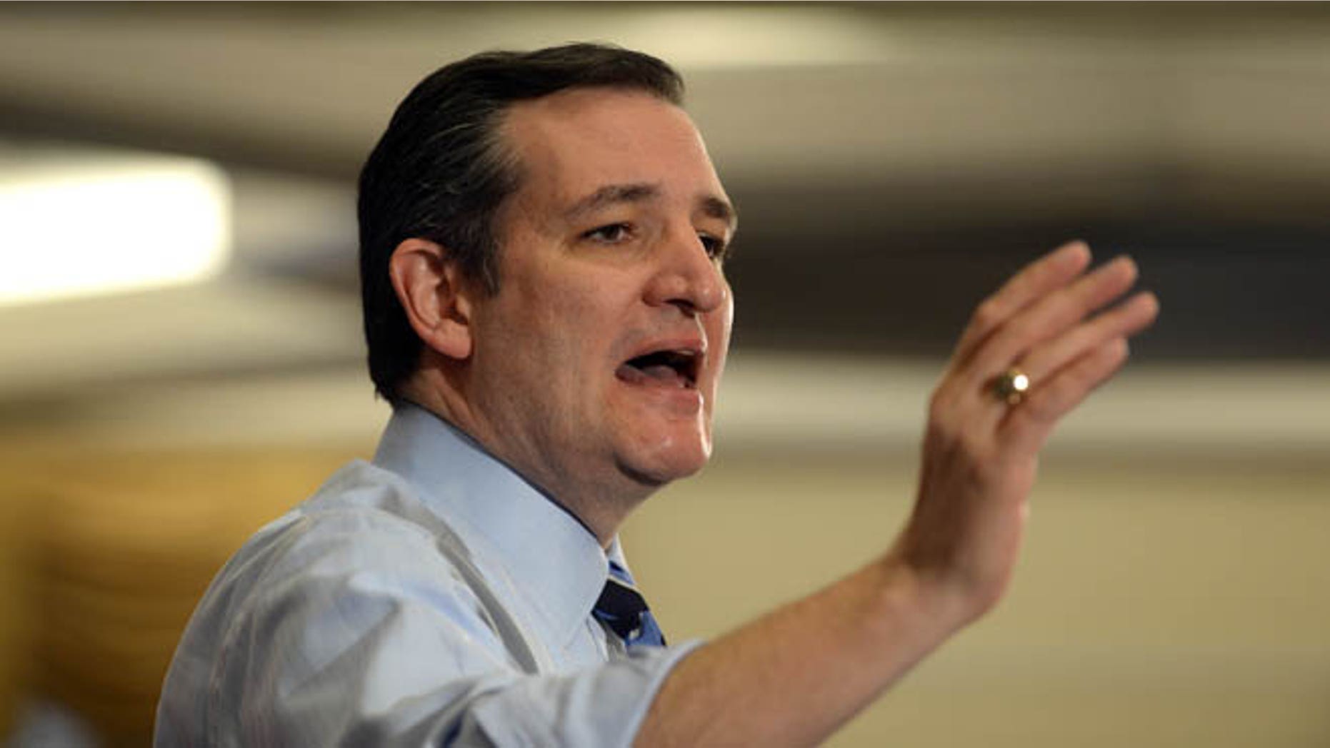 U.S. Sen. Ted Cruz (R-TX) speaks at the First in the Nation Republican Leadership Summit April 18, 2015 in Nashua, New Hampshire. (Photo by Darren McCollester/Getty Images)