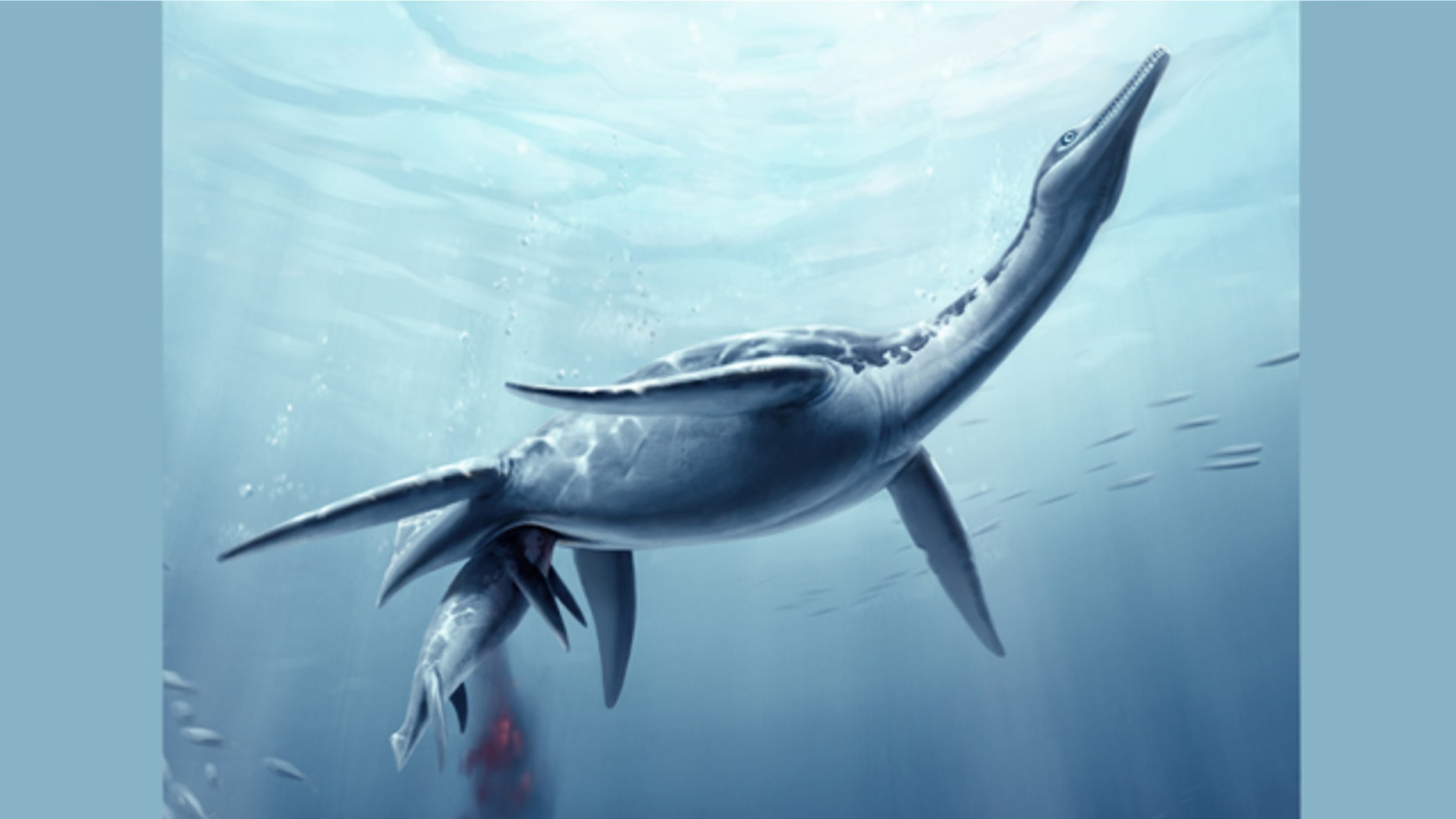 A plesiosaur giving birth.
