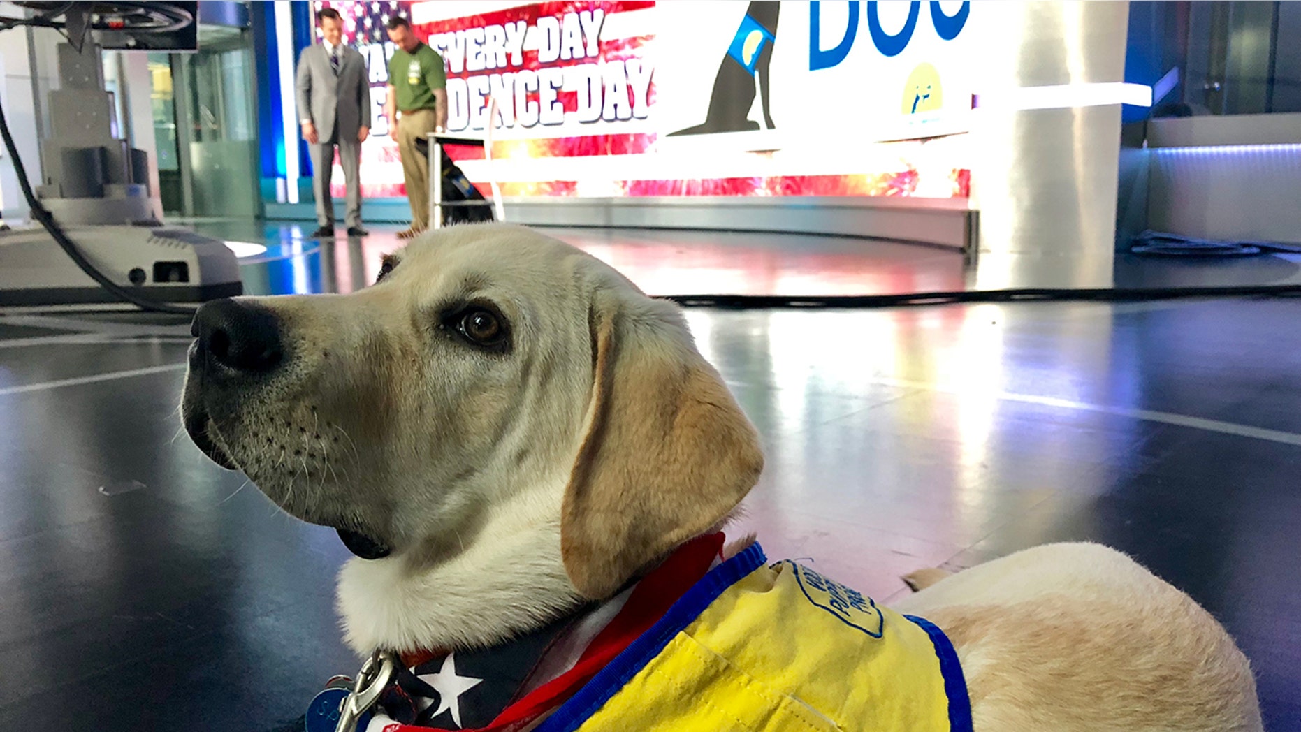 Service dogs trained by Canine Companions for Independence are making a difference in the lives of returning war veterans with PTSD. They are trained in nightmare interruption, turning on lights in a room and other things.