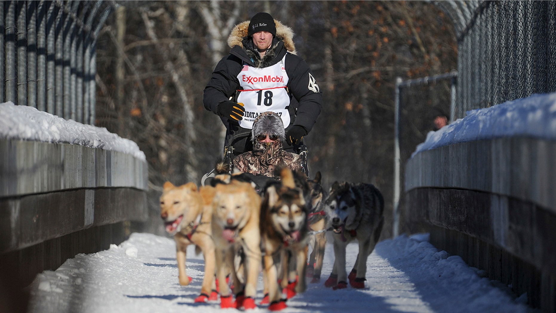 In this March 4, 2017, file photo, four-time and defending champion Dallas Seavey mushes during the ceremonial start of the Iditarod Trail Sled Dog Race in Anchorage, Alaska. Seavey denies he administered banned drugs to his dogs in this year's race, and has withdrawn from the 2018 race in protest. The Iditarod Trail Committee on Monday, Oct. 23, 2017, identified Seavey as the musher who had four dogs test positive for a banned opioid pain reliever after finishing the race last March in Nome.