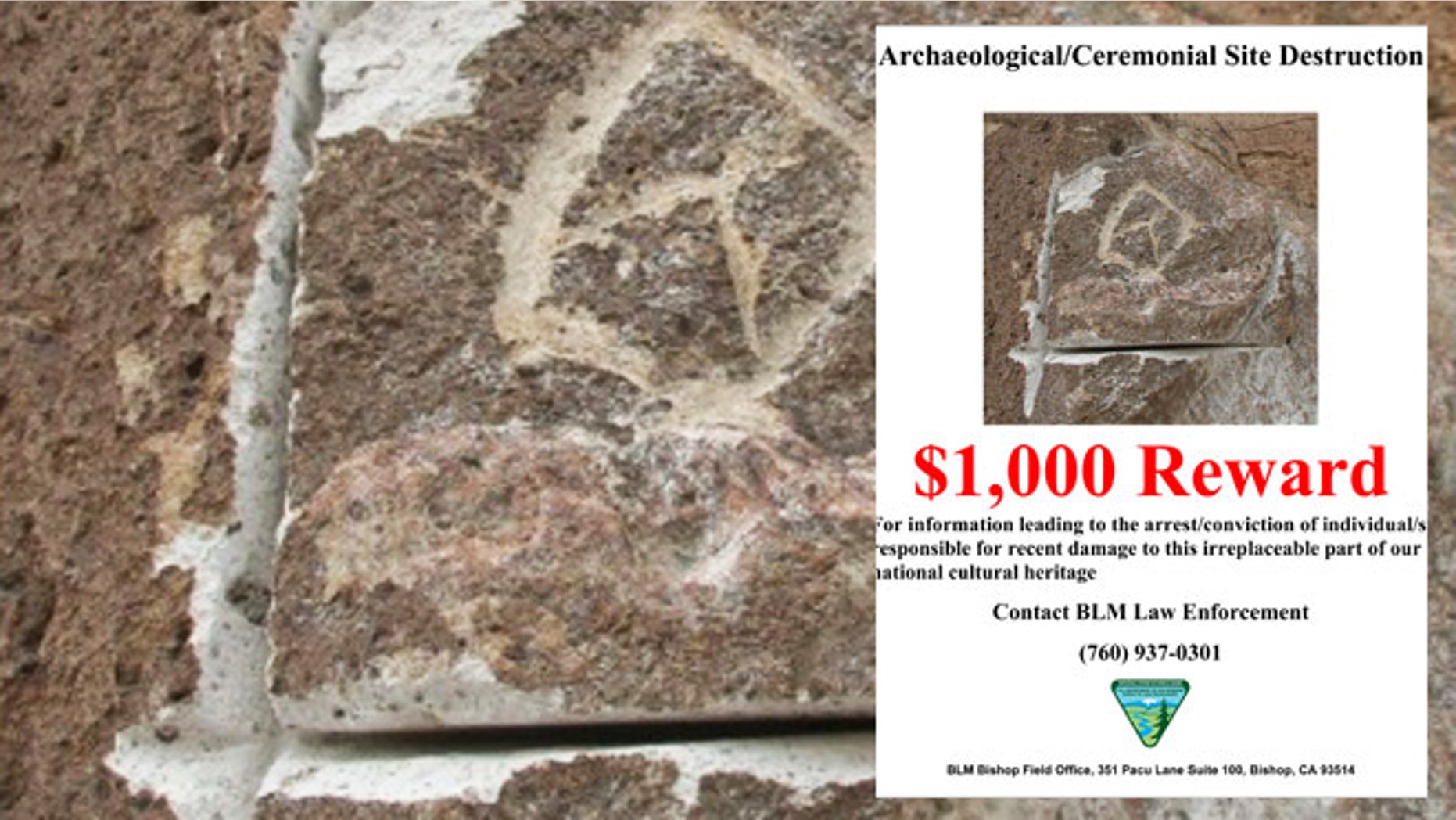 A Bureau of Land Management field office is offering a $1,000 reward for information on damaged petroglyph panels at a major rock art site on the Volcanic Tableland north of Bishop.