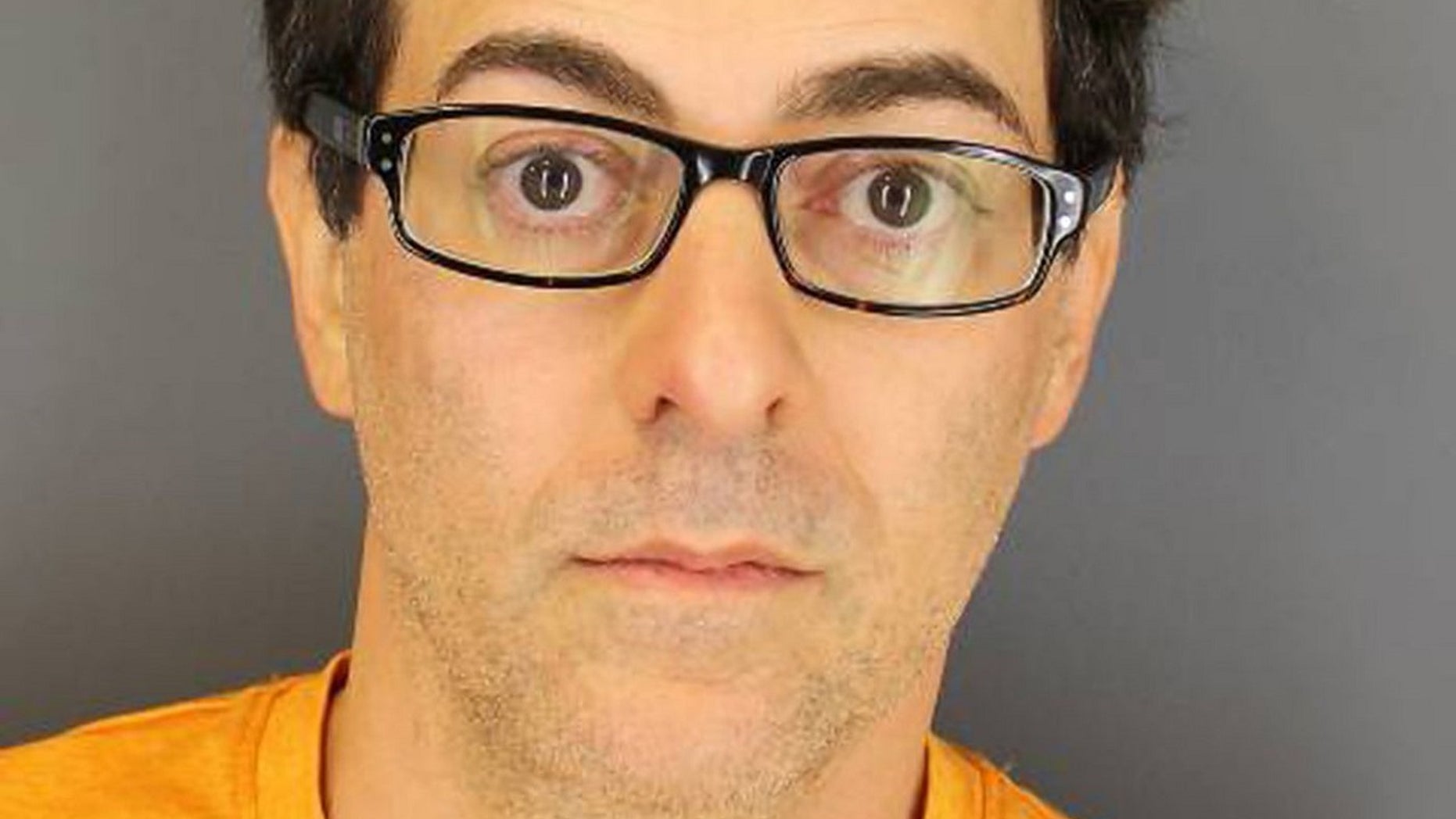 Dan Switzen, 44, plead guilty on Tuesday for planting a hidden camera in the bathroom of his New York home to spy on his teenage nanny.