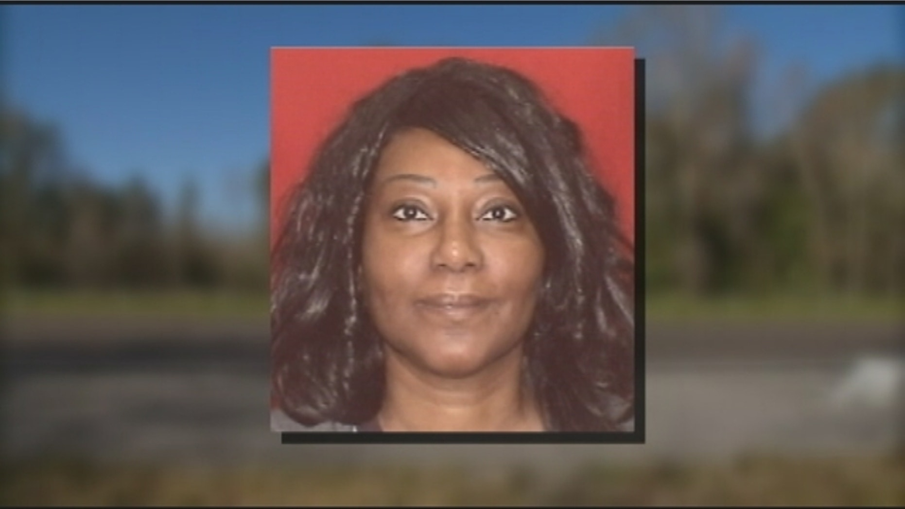 Dana Nelson, 47, was killed when she was struck by a car while she assisted a stranded motorist.