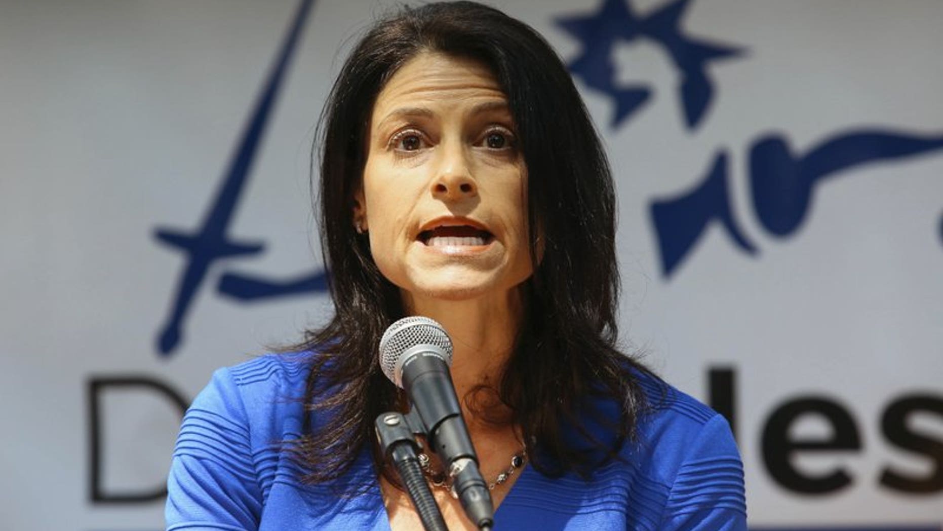 Dana Nessel announces her decision to run for Michingan attorney general, in Ann Arbor, Mich., Aug. 15, 2017.