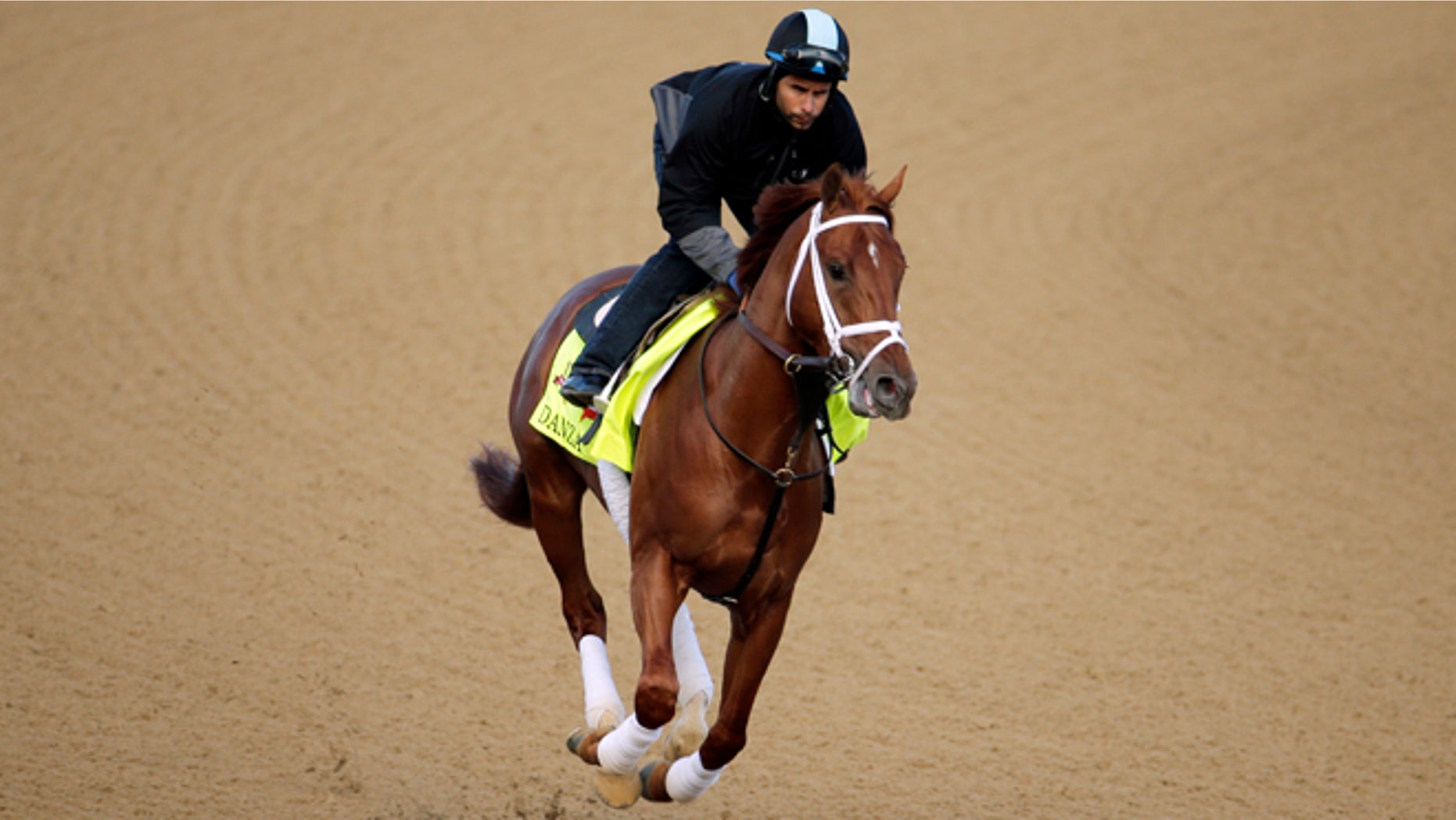 May 1: Danza, who was named after the "Who's the Boss" star, out for a morning workout at Churchill Downs.