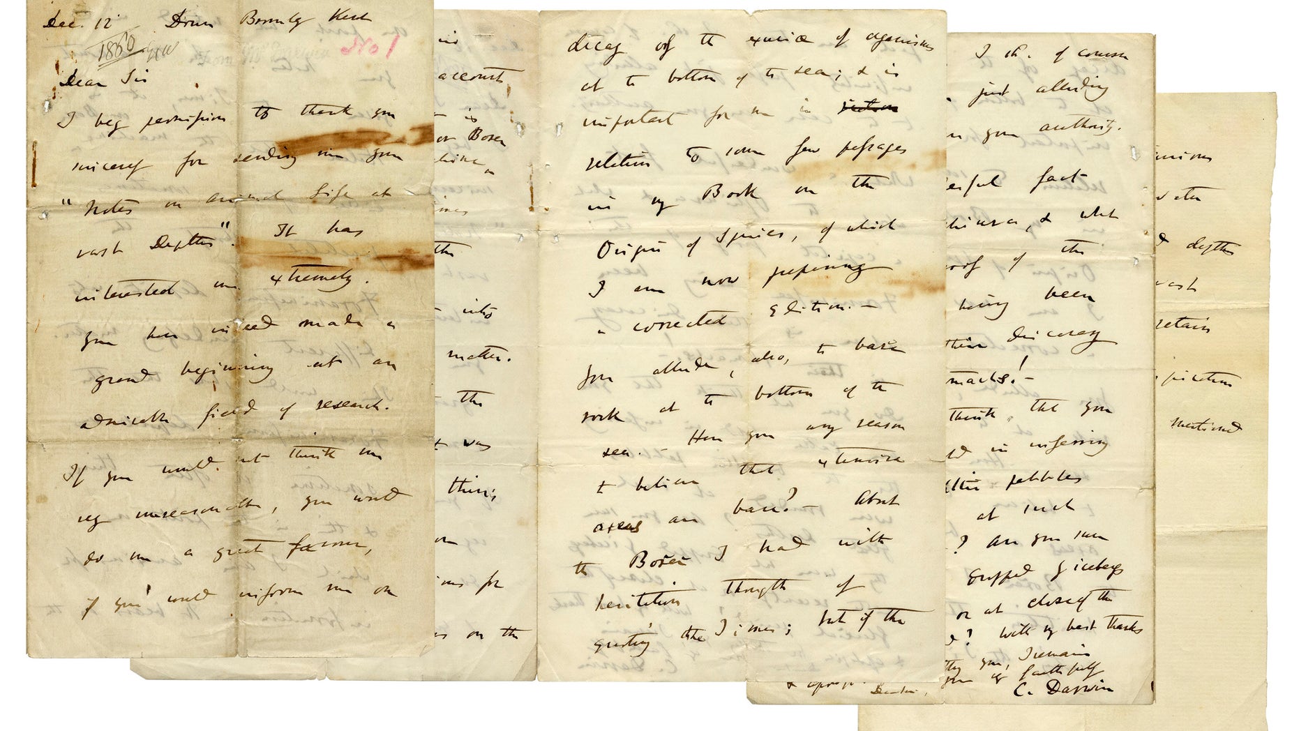 The Darwin letter set to be auctioned off Thursday. (Nate D. Sanders Auctions)