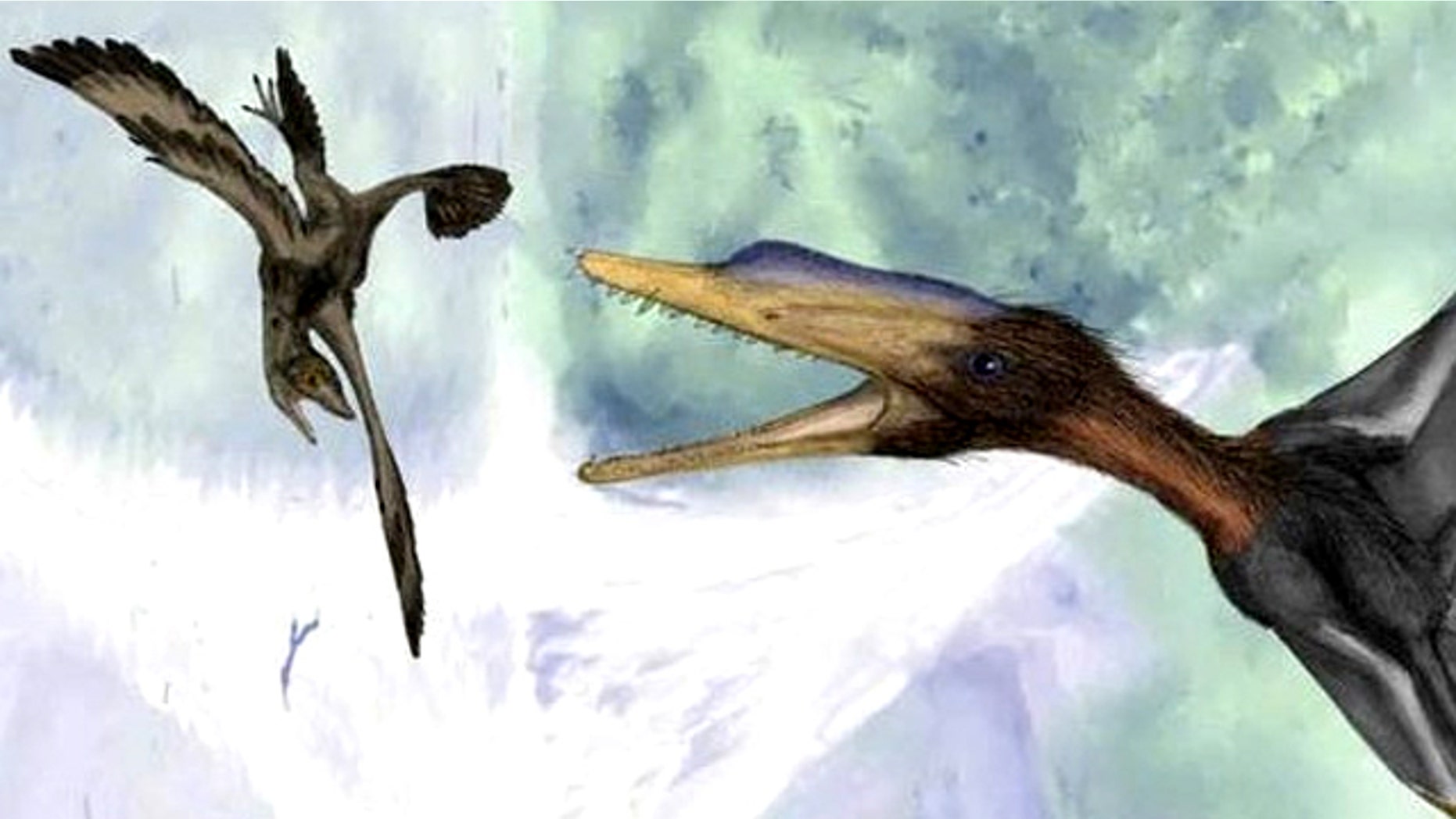 Tiny Fossil May Be World's Smallest Dinosaur | Fox News