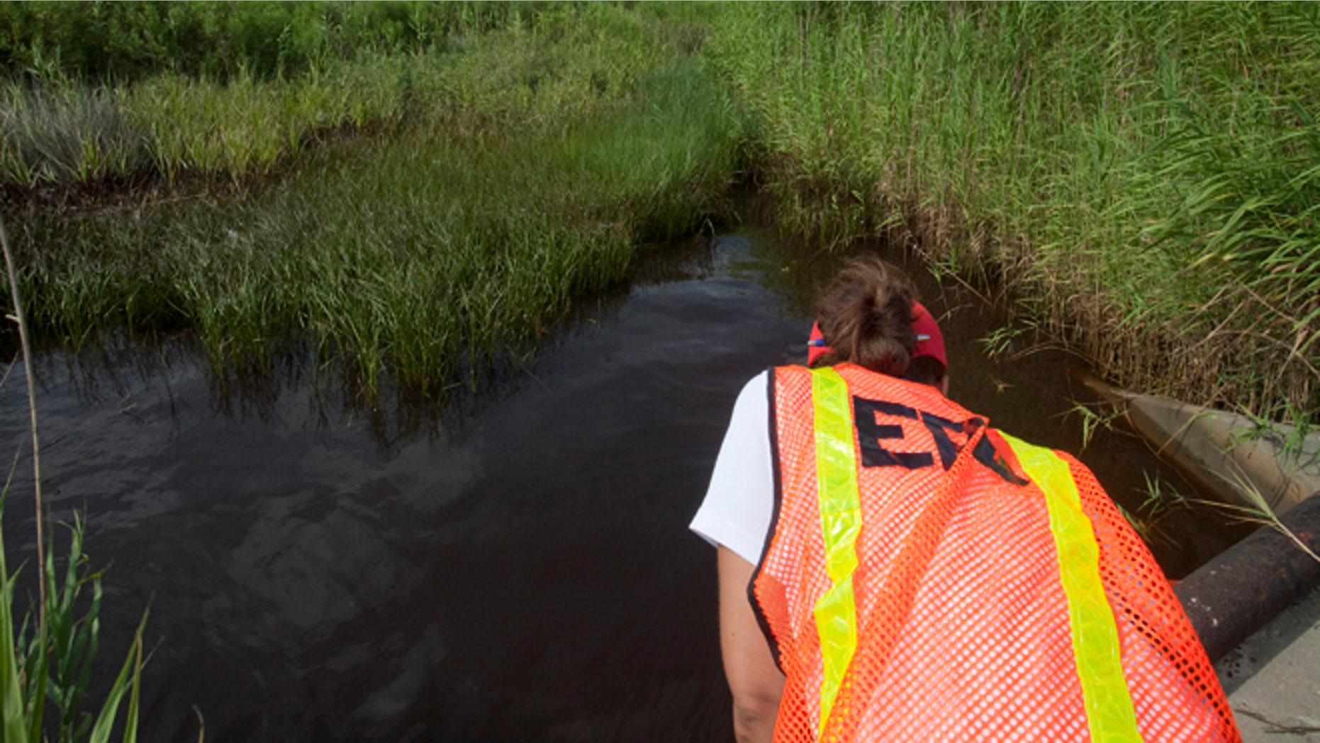 In this July 7, 2010 file photo, an EPA worker looks at oil from the Deepwater Horizon spill which seeped into a marsh in Waveland, Miss.