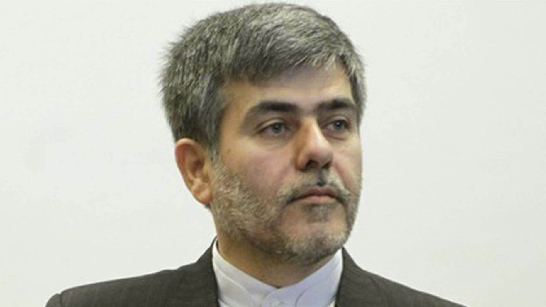 June 21, 2011: Iranian Vice President Fereidoun Abbasi attends a news conference during the Ministerial Conference on Nuclear Safety in Vienna.