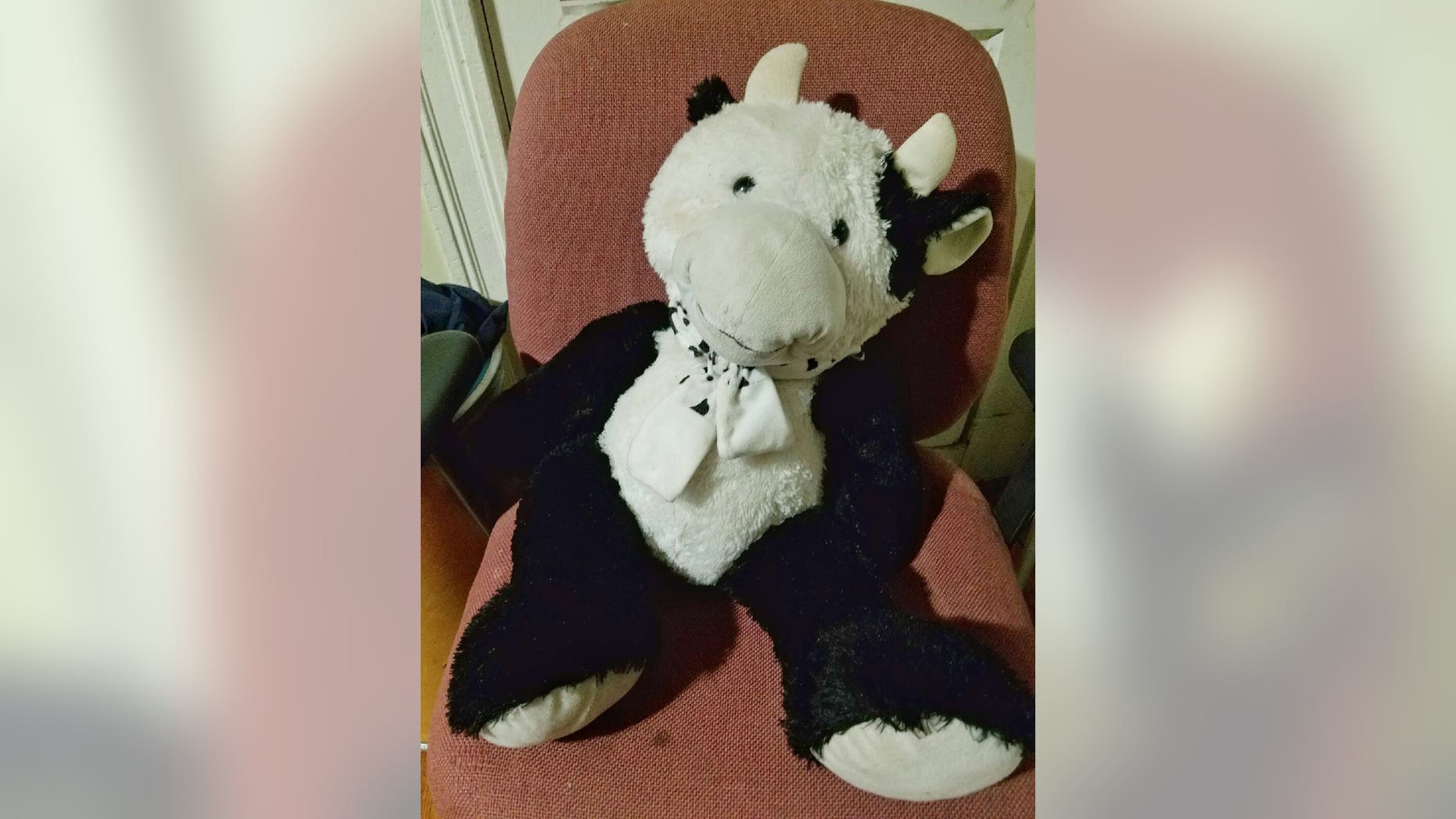 The stuffed cow broke the fall for the Massachusetts toddler, creating a cushion between the boy and the concrete, police said. (Chelsea Police Chief Brian Kyes)