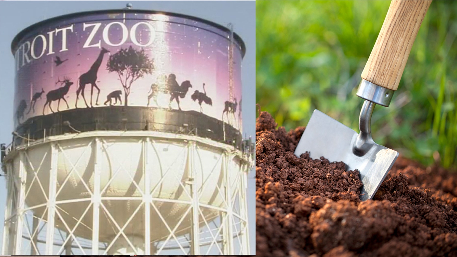 In an early Earth Day celebration, Detroit Zoo will be giving away free buckets of animal manure.