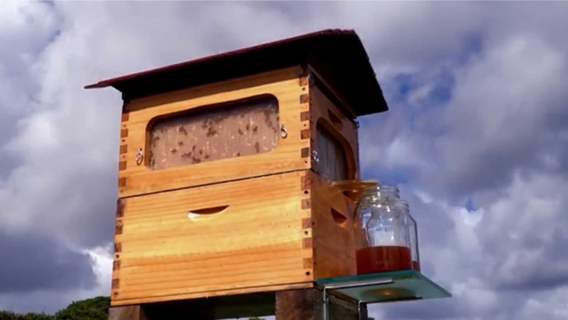 The Flow hive may revolutionize beekeeping practices.