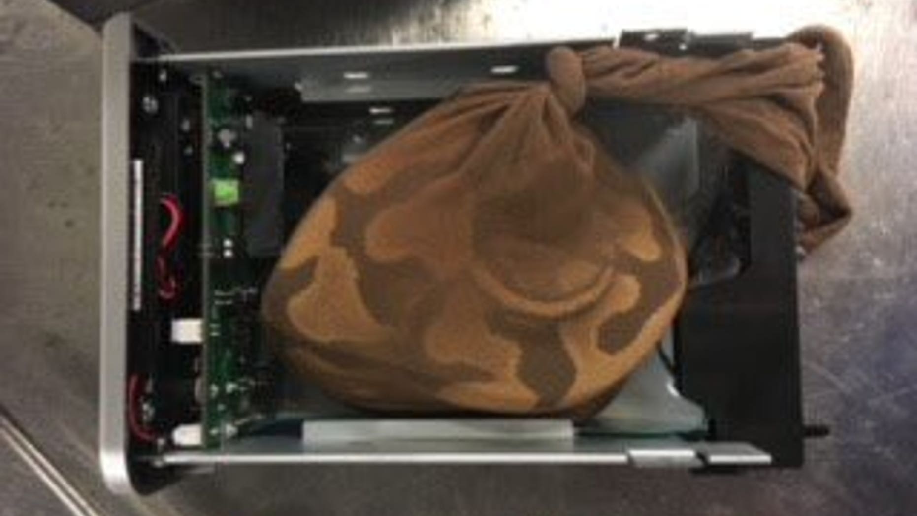 TSA agents found a python "artfully" hidden inside a hard drive at the Miami International Airport.