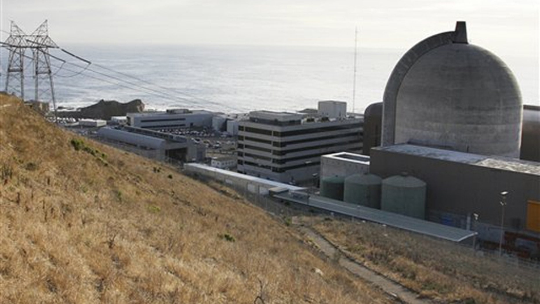 This Nov. 3, 2008, file photo shows one of Pacific Gas and Electric's Diablo Canyon Power Plant's nuclear reactors in Avila Beach, Calif.