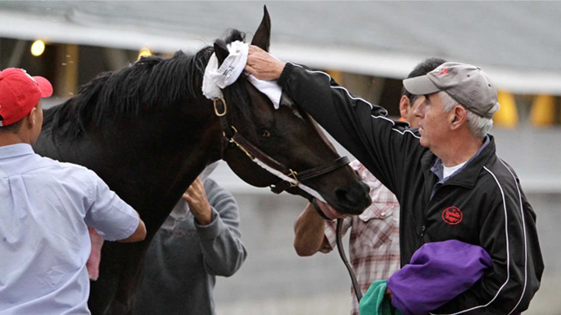 May 1: Trainer Nick Zito, right, towels the head of Kentucky Derby hopeful Dialed In after its morning exercise at Churchill Downs in Louisville, Ky. (AP)