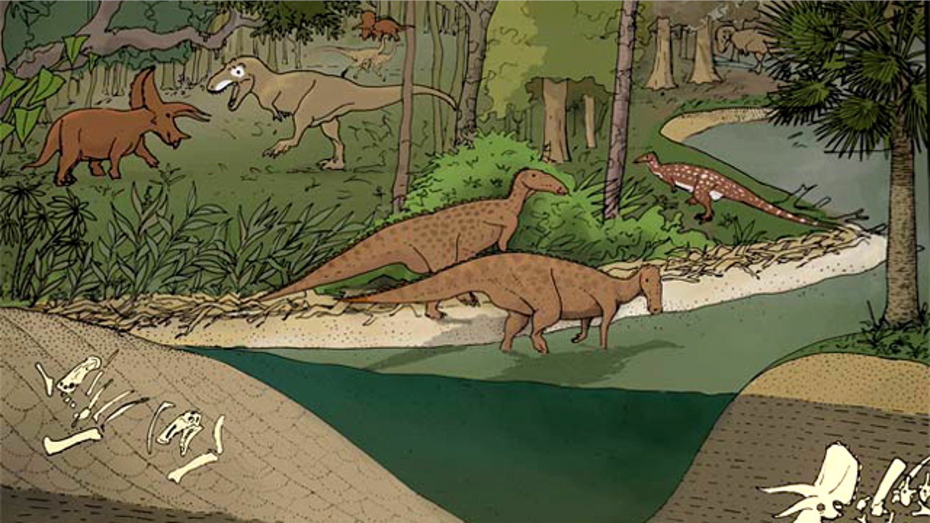 This speculative illustration of the late Cretaceous of North American landscape shows dinosaurs occupying different environments. Hadrosaurs and Thescelosaurus largely occupy environments near river channels, Triceratops occupies environments further away from the river channels, and Tyrannosaurus rex occupies both environments.