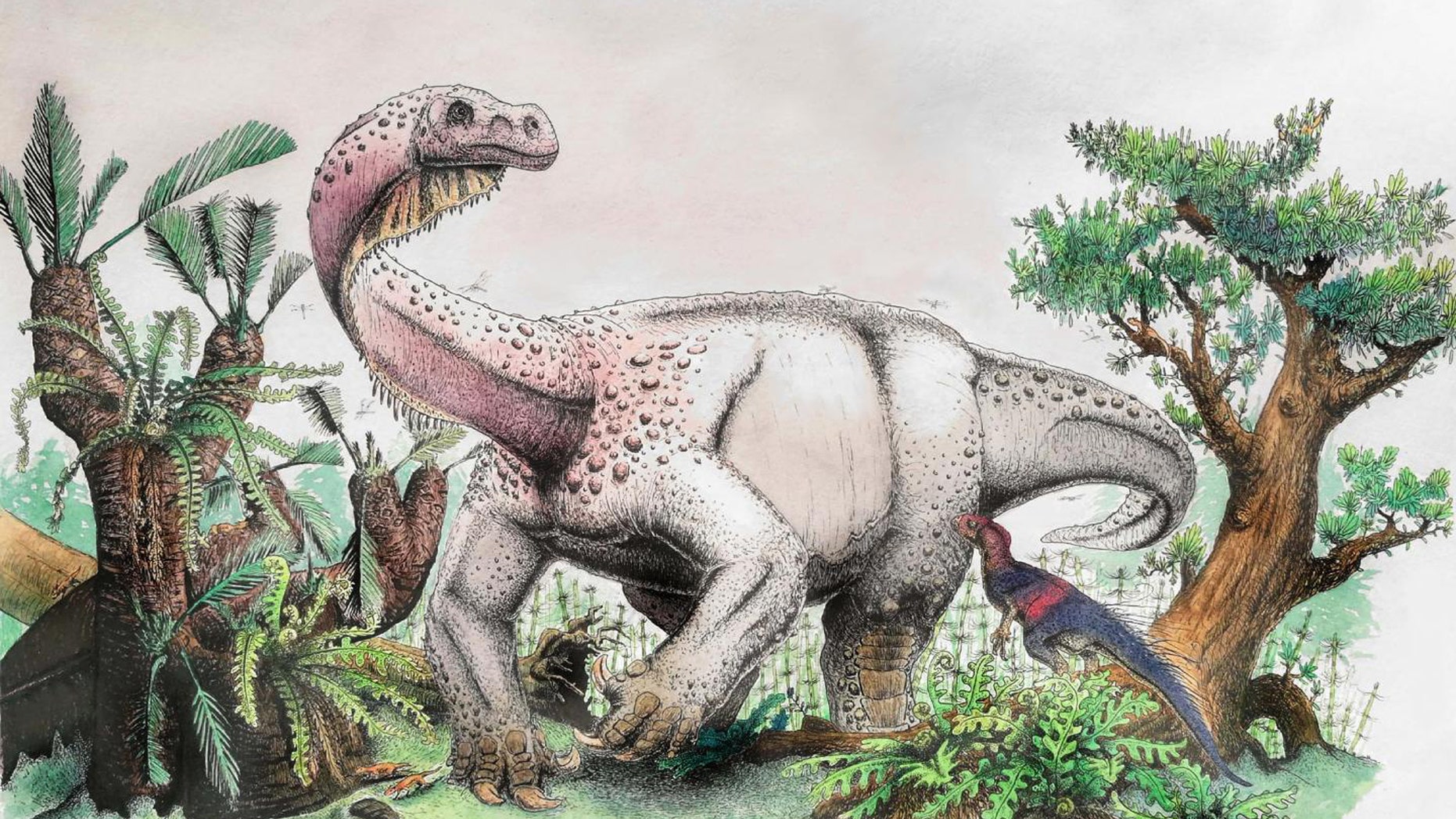 Amazing giant dinosaur discovery: New dino species identified | Fox News