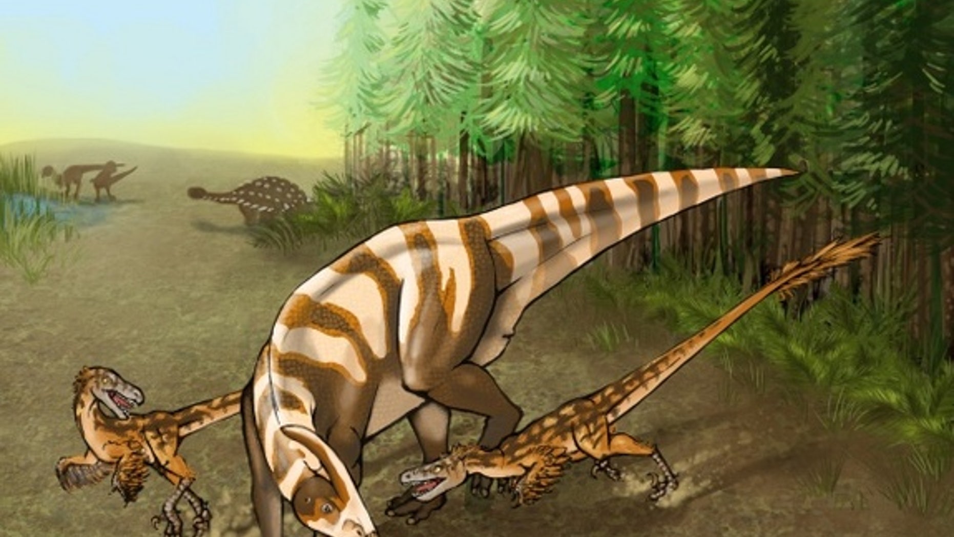 <em>Saurornitholestes sullivani</em> attacks a subadult hadrosaur in this illustration.