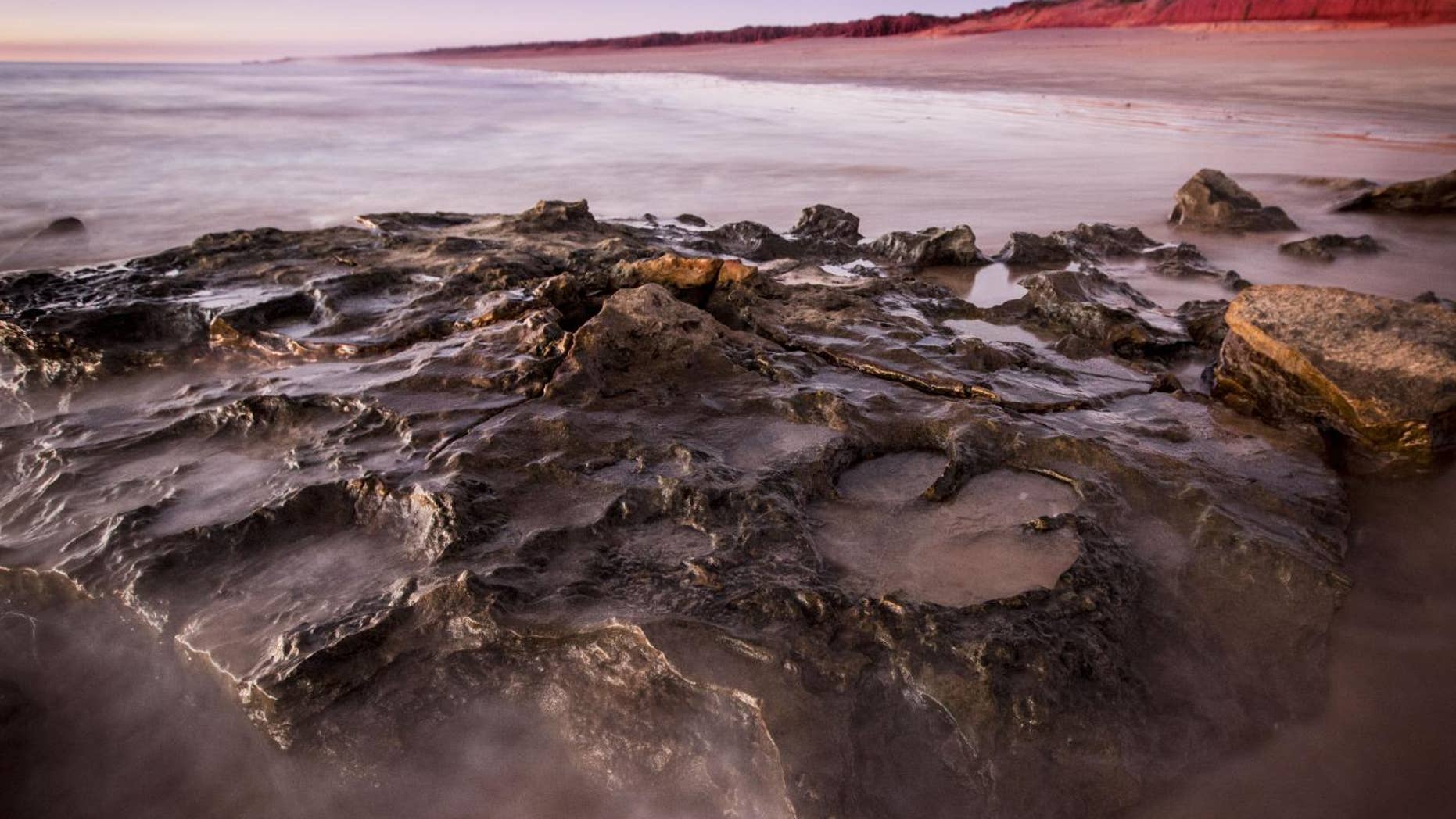 Dinosaur tracks at "Australia's Jurassic Park."