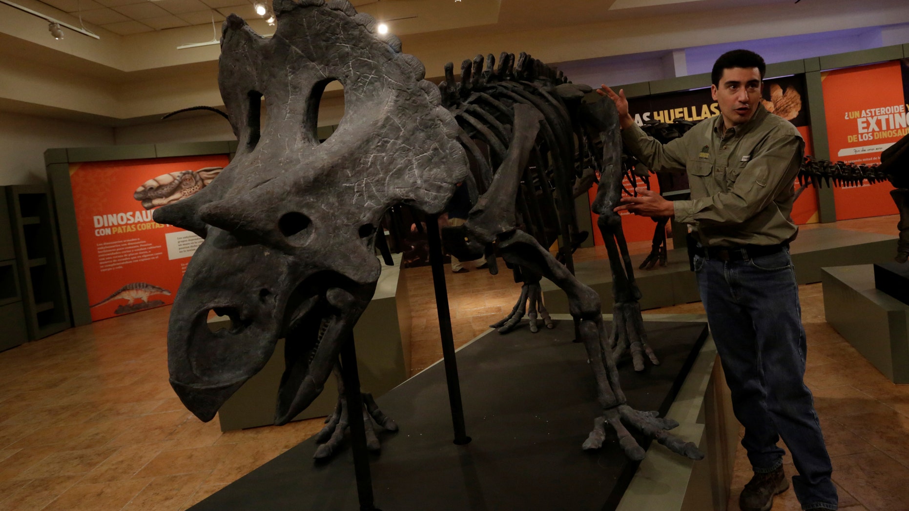 File photo: Mexican paleontologist Hector Rivera explains to the media with a scale replica how Yehuecauhceratops dinosaur looks during a news conference at the Desert Museum in Saltillo, Mexico February 10, 2017. (REUTERS/Daniel Becerril)