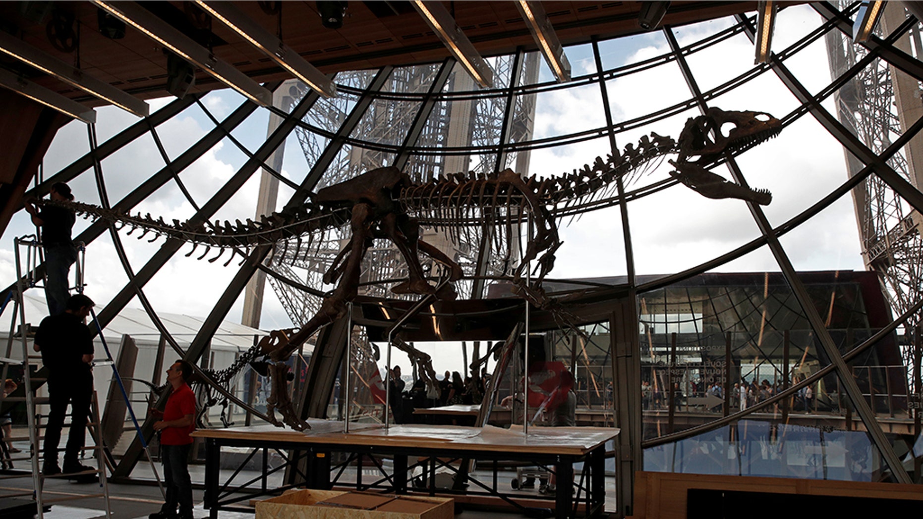 Workers reconstruct dinosaur fossil at the Eiffel tower, in Paris, France, June 2, 2018 ahead of its auction on Monday. (REUTERS/Philippe Wojazer)