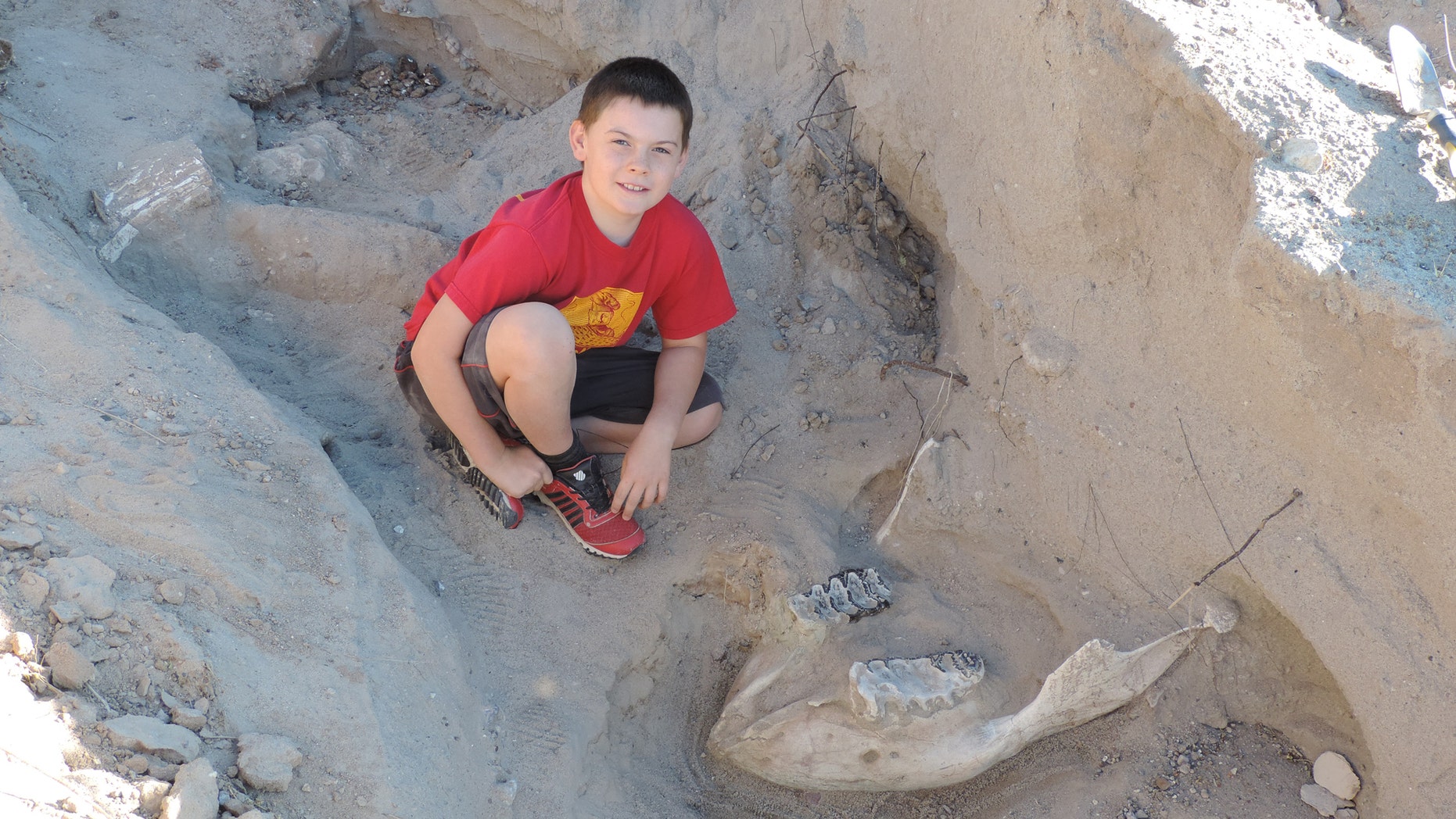Jude Sparks with the dinosaur fossil (Credit: Peter Houde)