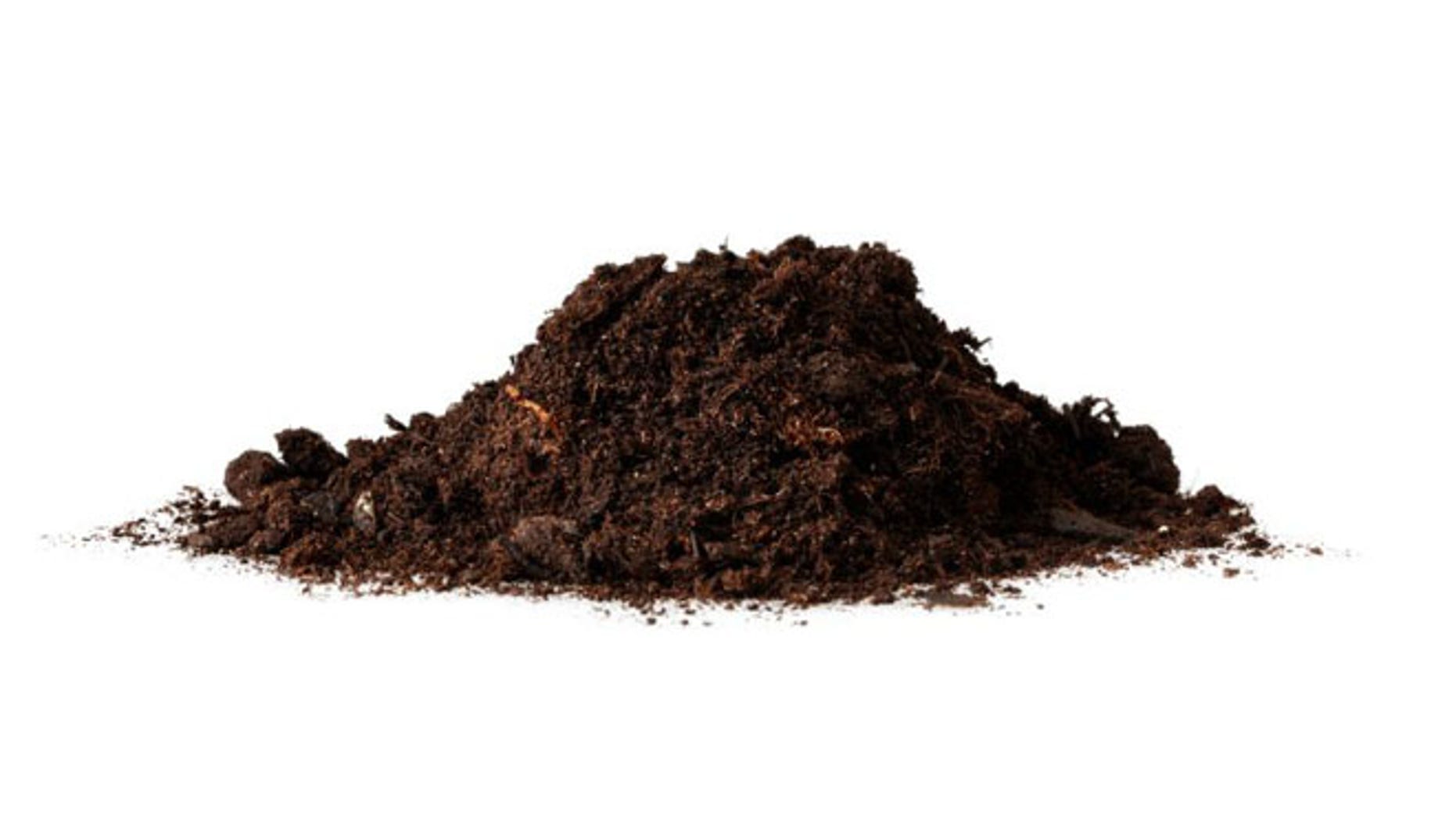 A French restaurant in Tokyo unveiled a meal using high-quality black dirt.