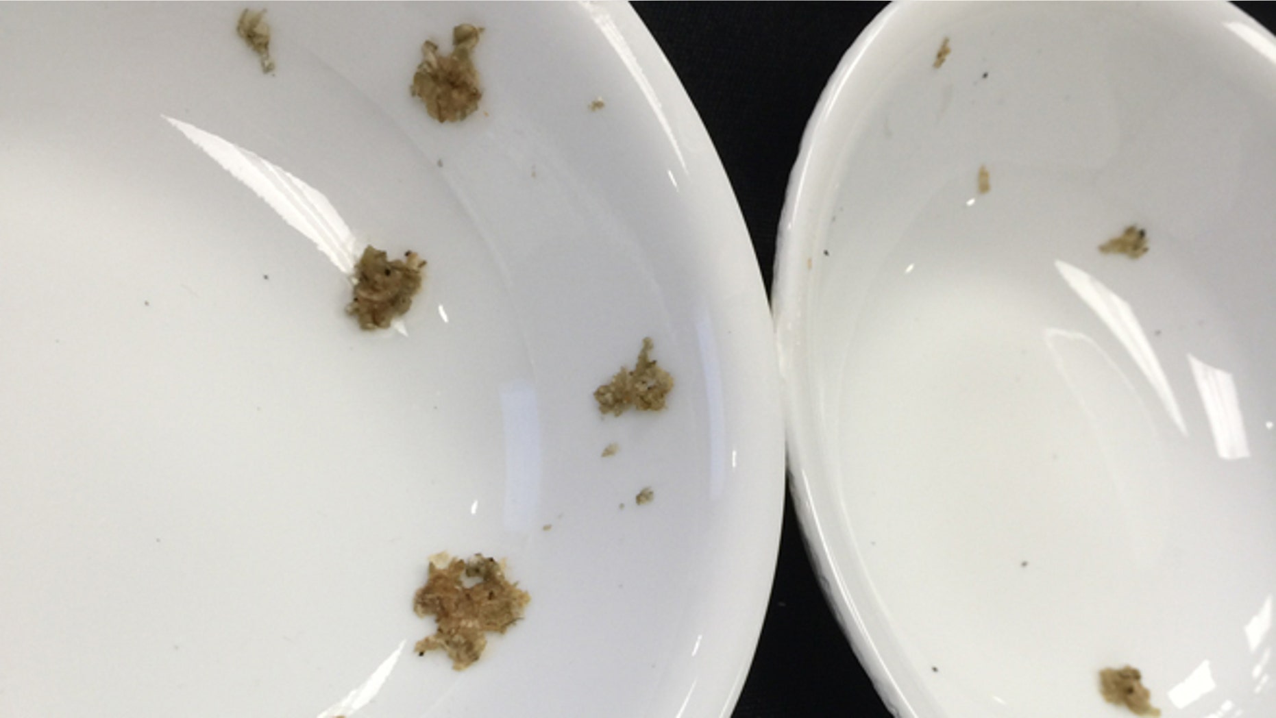 Shown here are results from dishwasher tests, for new government water efficiency standards, run by members of the Association of Home Appliance Manufacturers (AHAM).