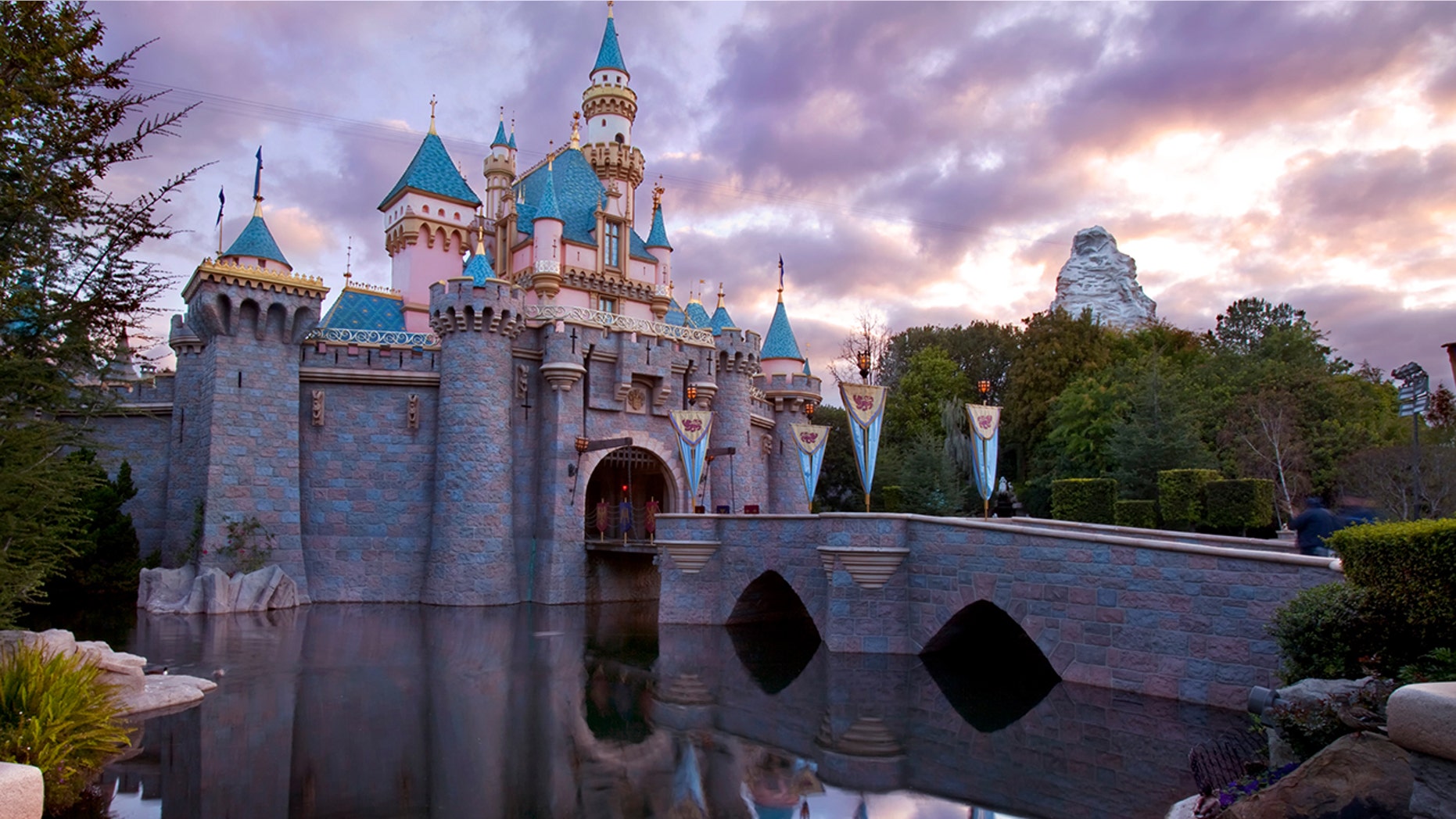 Over 85 percent of union workers at Disneyland earn less than $15 an hour, according to the survey.