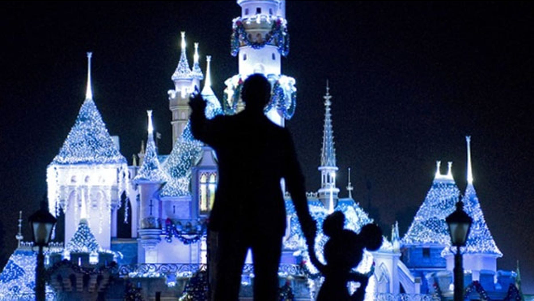 Disney World has told visitors not to bring their selfie sticks on rides.