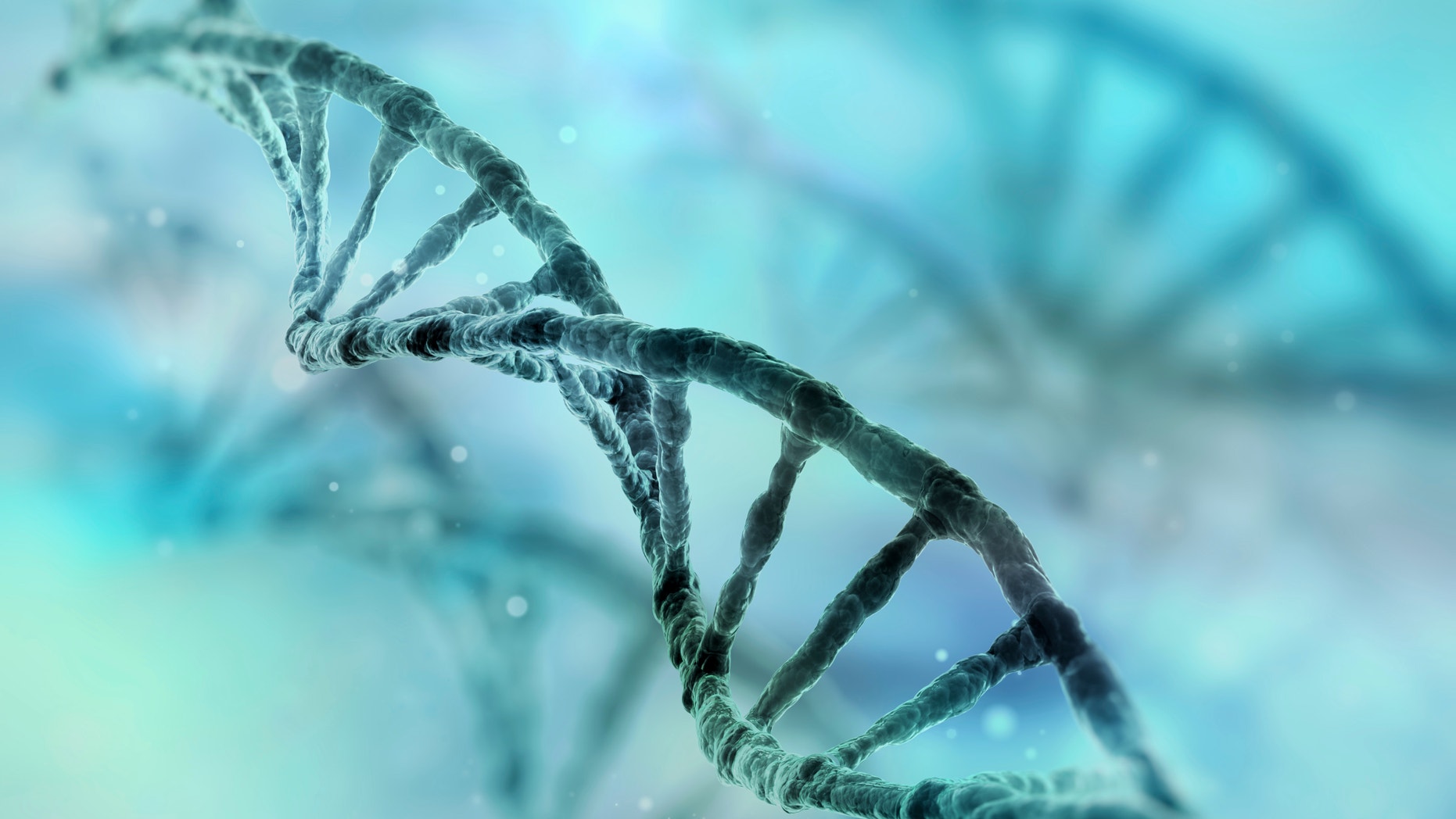 dna strand