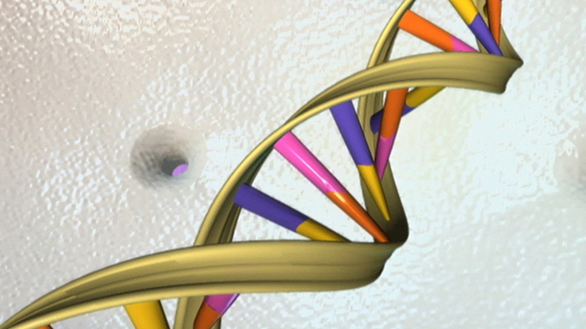 A DNA double helix is seen in an undated artist's illustration released by the National Human Genome Research Institute to Reuters on May 15, 2012.