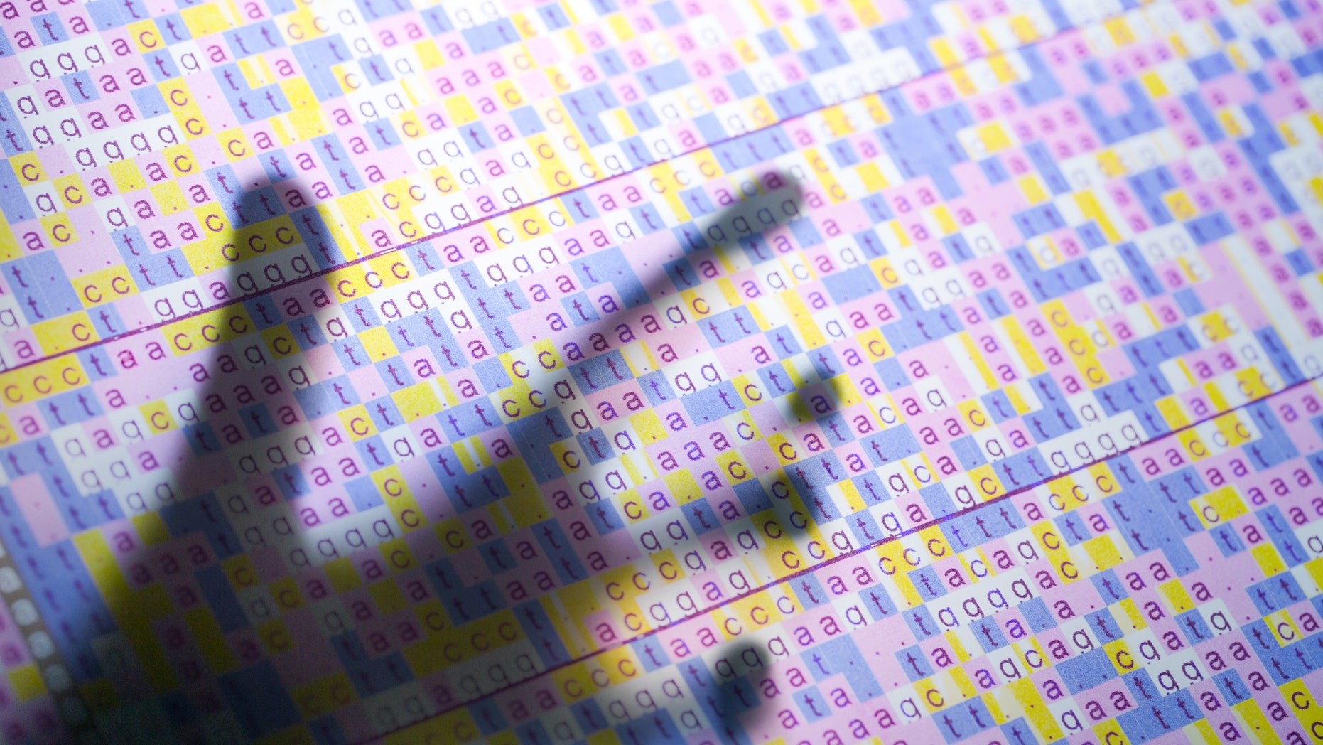 File photo - DNA code on screen with hand touching it