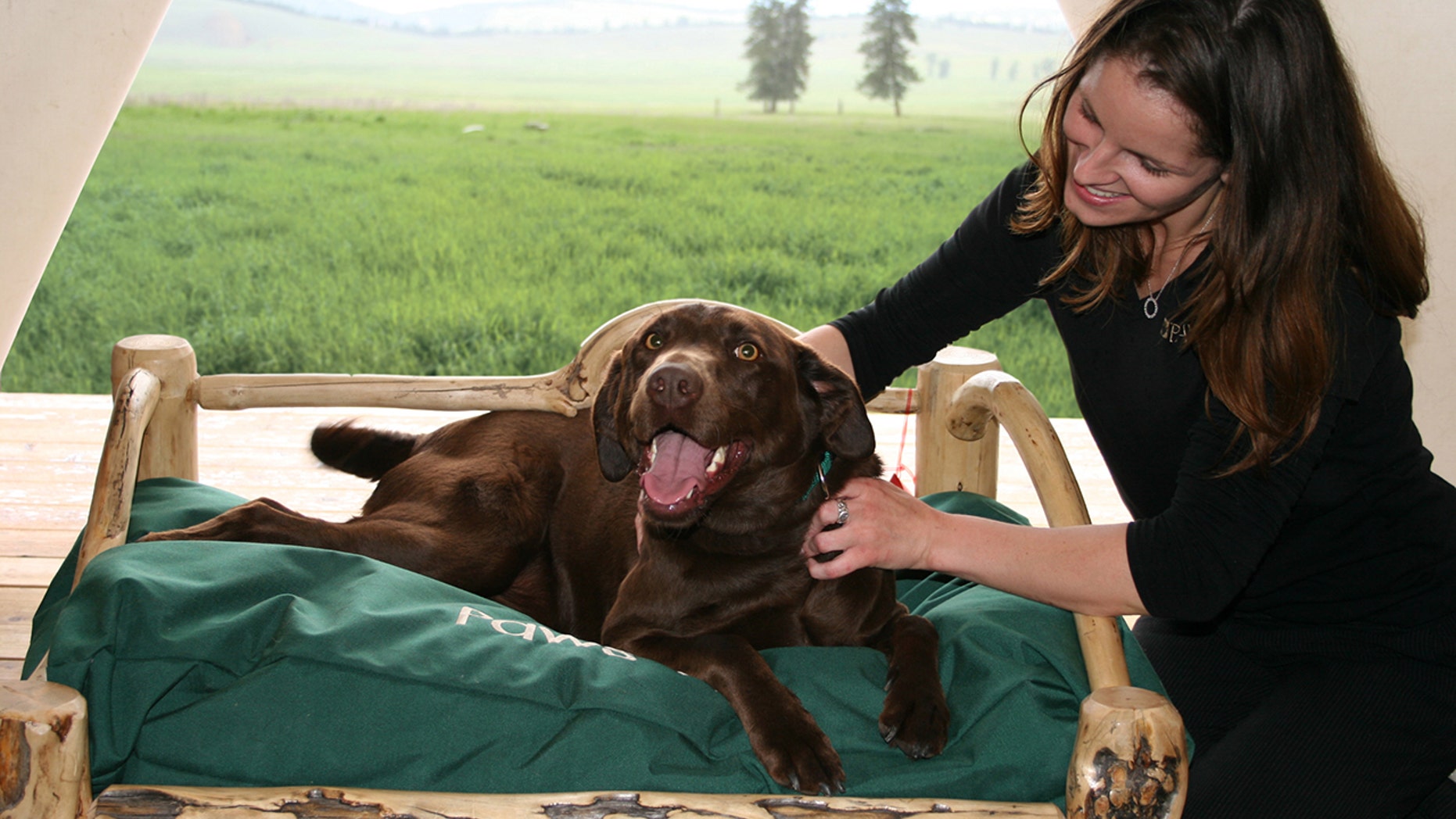 If your dog has a bucket list, this place is probably on it.