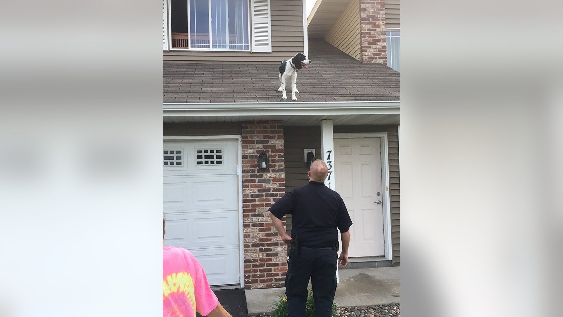 A dog was “safely returned inside” after it got stuck on the roof of a townhome Thursday morning, police in Minnesota said.