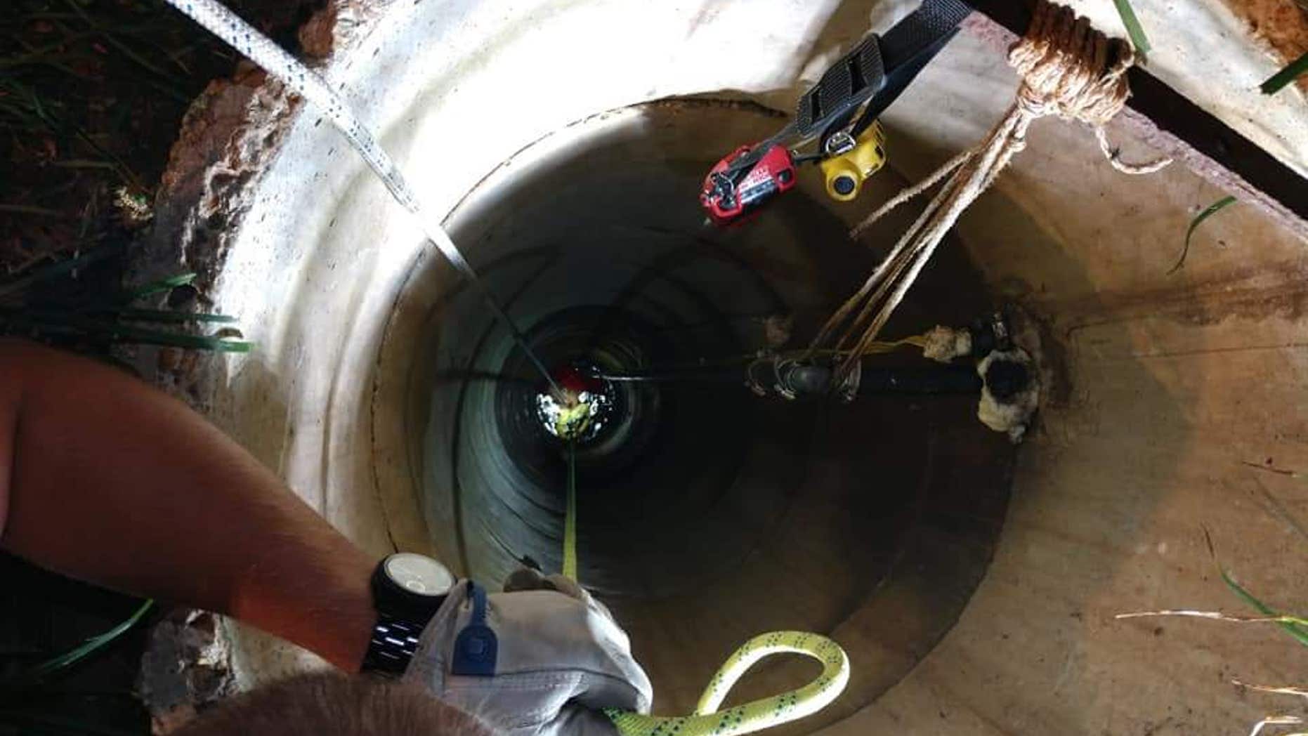 Katie Allen, the dog's owner, said the pup was trapped in the well for more than an hour.