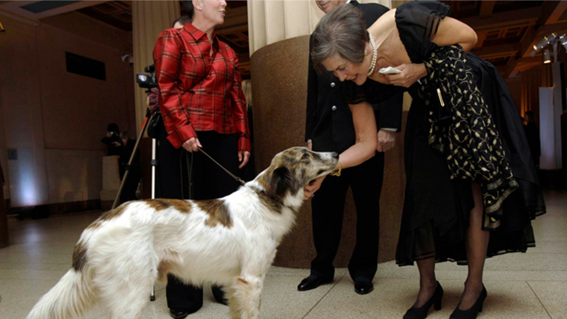 Dec. 9: Guest Ruth Hoffman, right, pets Rufus, a stray Afghan dog credited with saving the lives of 50 U.S. soldiers based in Afghanistan, before the dog was honored at The Animal Medical Center's Top Dog Gala at the Museum of Natural History in New York. (AP)