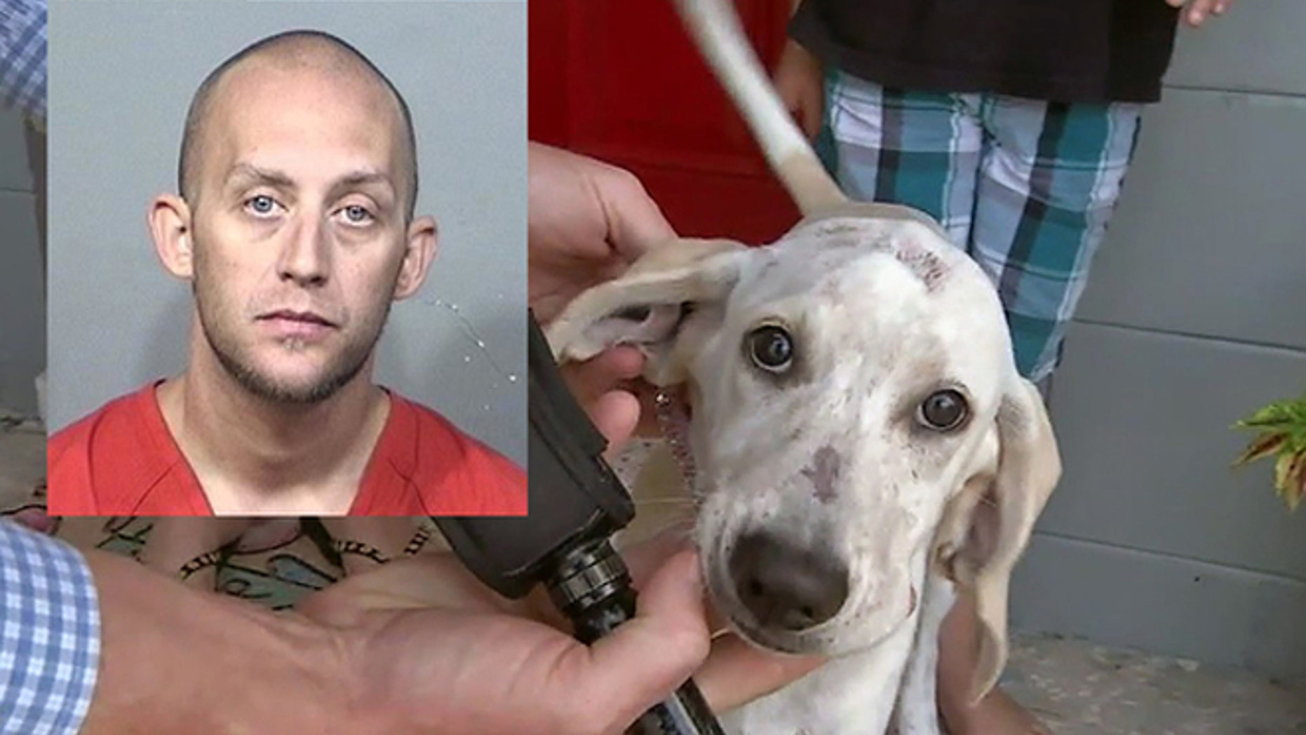 Zachary Kelly, 30, was arrested for allegedly biting the family dog.
