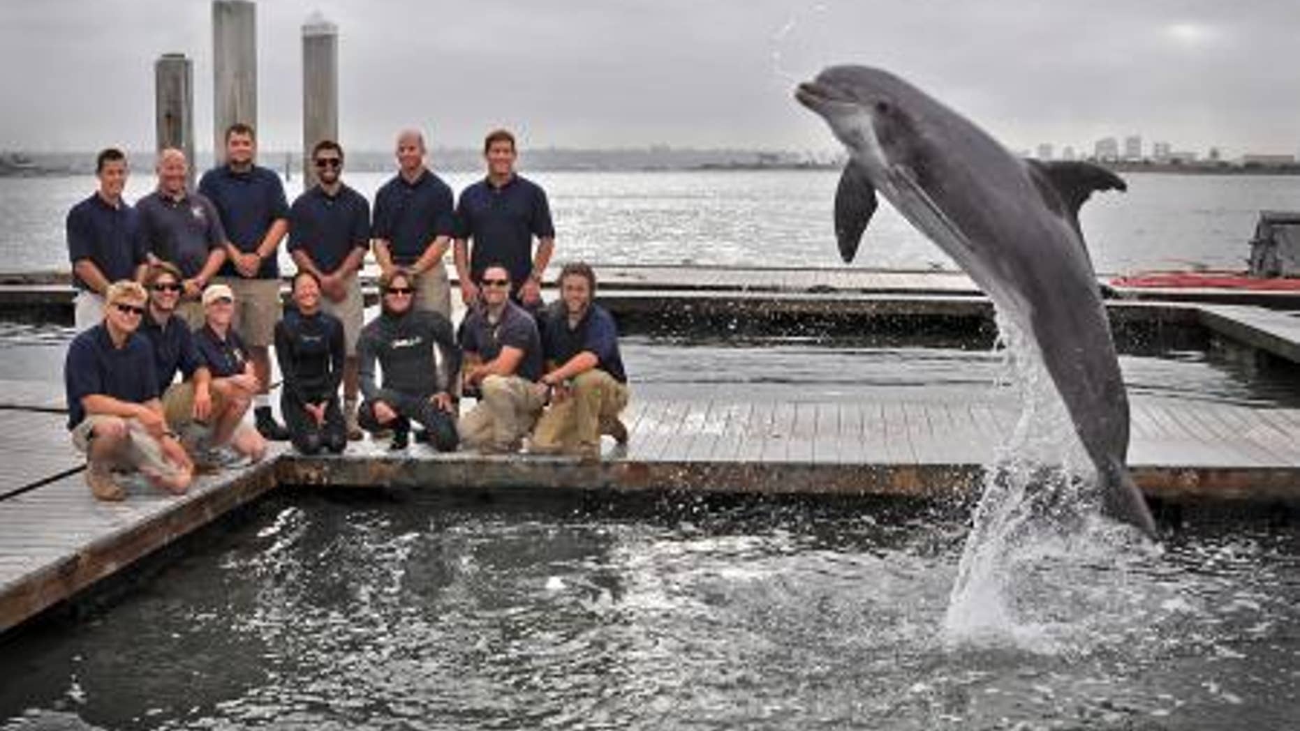 Members of the Space and Naval Warfare Systems Center Pacific Marine Mammal Team pose May 15, 2013, with one of the Navy's specially trained Atlantic bottle-nosed dolphins. The team, along with the dolphin, are responsible for the discovery and
