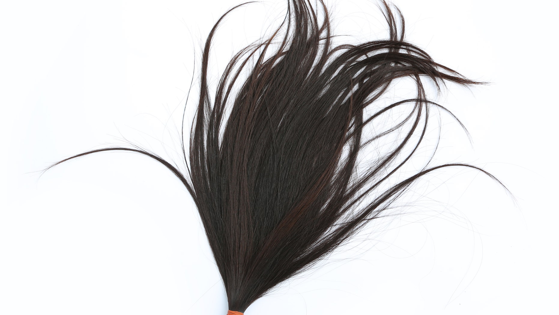 Donate hair to cancer patient isolated on white background, hairline