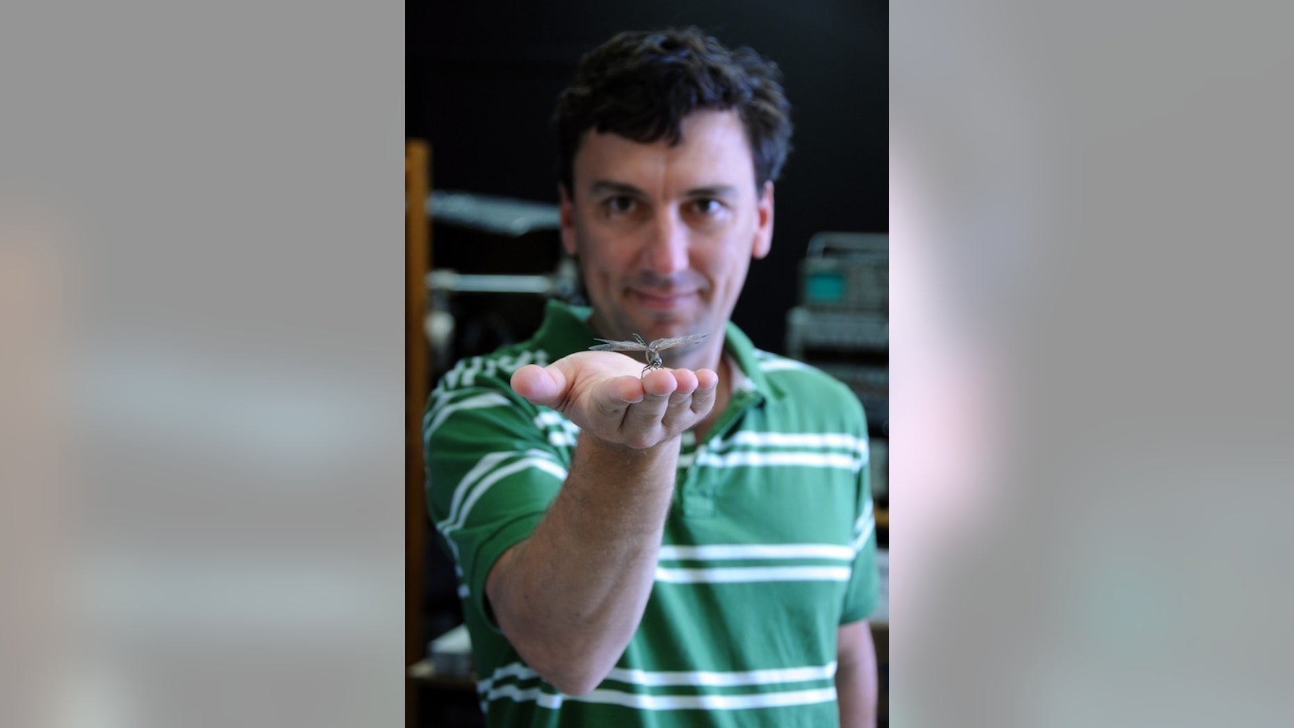 The University of Adelaide's Steven Wiederman holds a dragonfly.