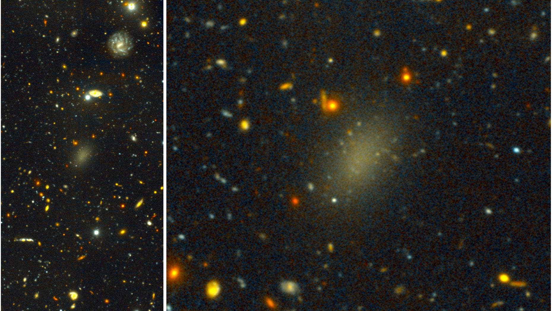 Dragonfly 44. The image on the left is a wide view of the galaxy taken with the Gemini North telescope using the Gemini Multi-Object Spectrograph (GMOS). The close-up on the right is from the same very deep image, revealing the large, elongated galaxy and halo of spherical clusters of stars around the galaxy’s core, similar to the halo that surrounds our Milky Way galaxy.