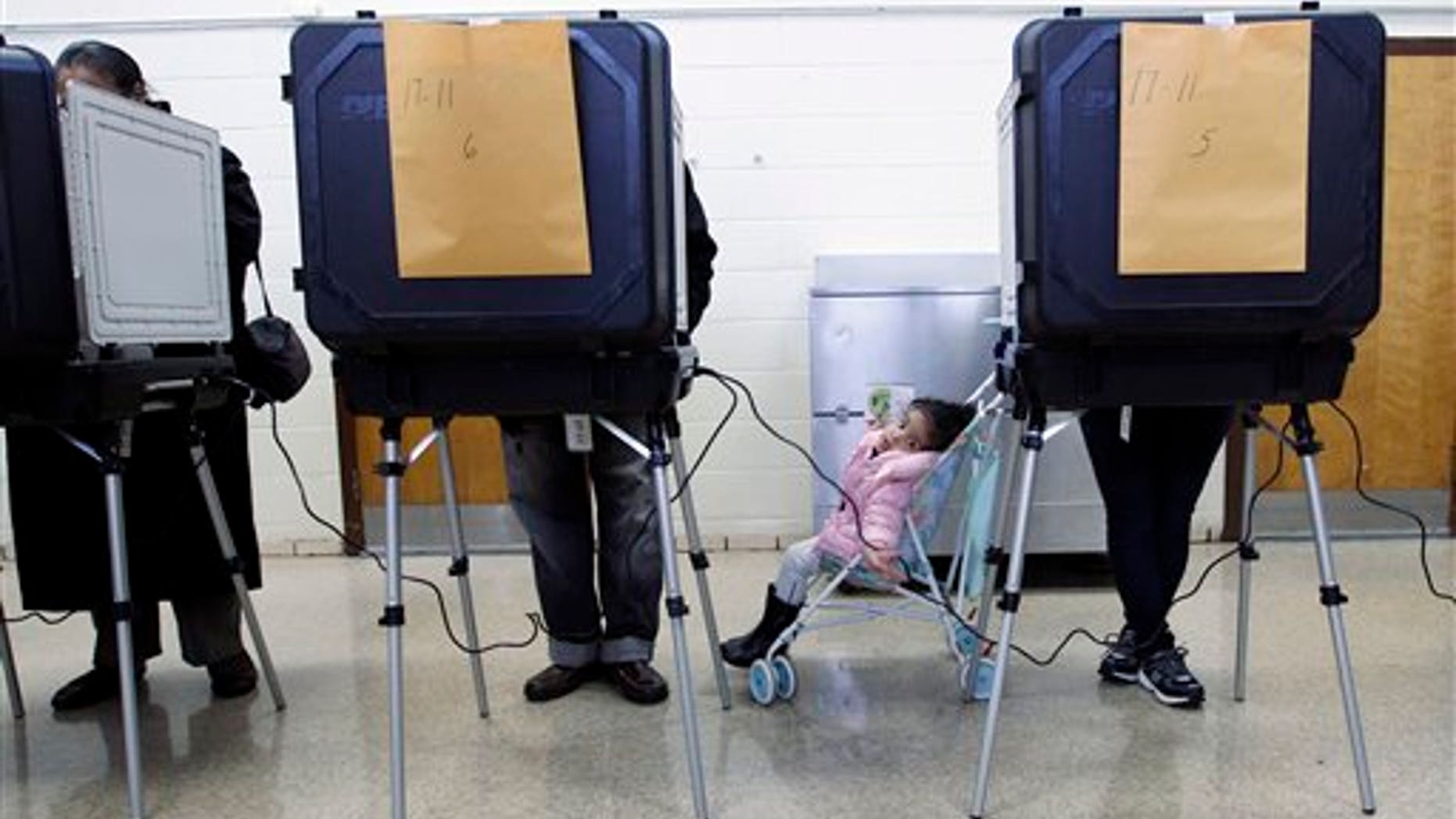 Two-year-old Sharlene Blount waits for her mother Lidia to vote at Ridgecrest Elementary, in Hyattsville, Md. on Tuesday, Nov. 6, 2012. (AP Photo/Jose Luis Magana)