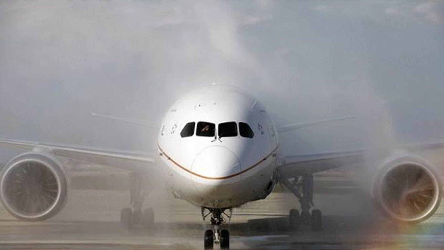 United Airlines said Monday it plans to fly the Boeing 787 Dreamliner for the first time after its grounding on May 31.