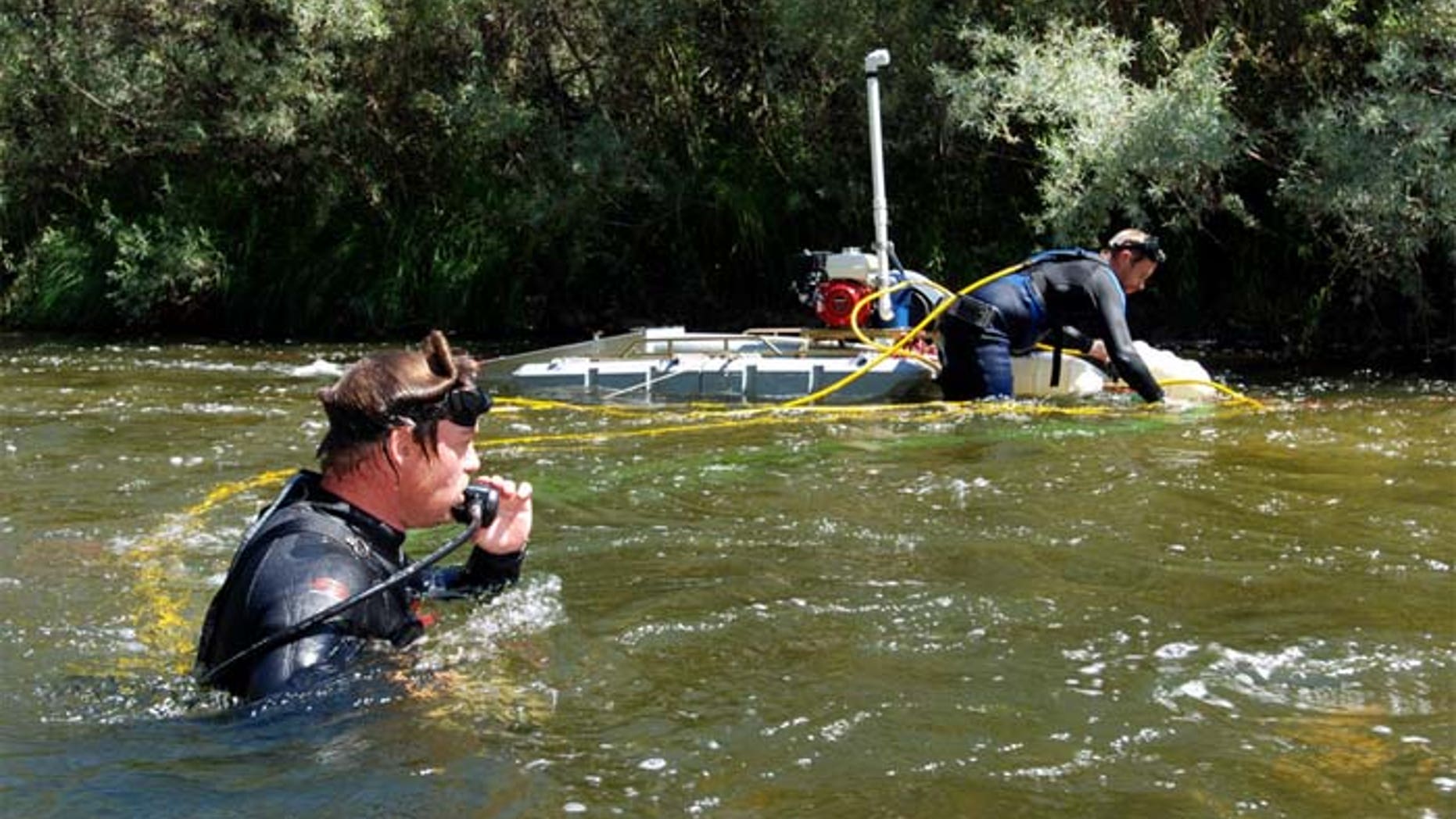 Gold miners say suction dredging is the only effective way of getting gold out of rivers and creeks. (AP)