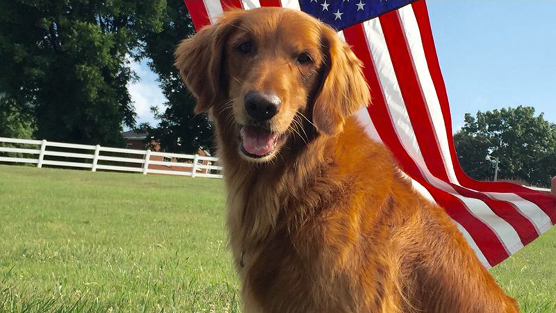 Sam, a golden retriever who played the Bush's Baked Beans spokesdog 'Duke,' has passed away.