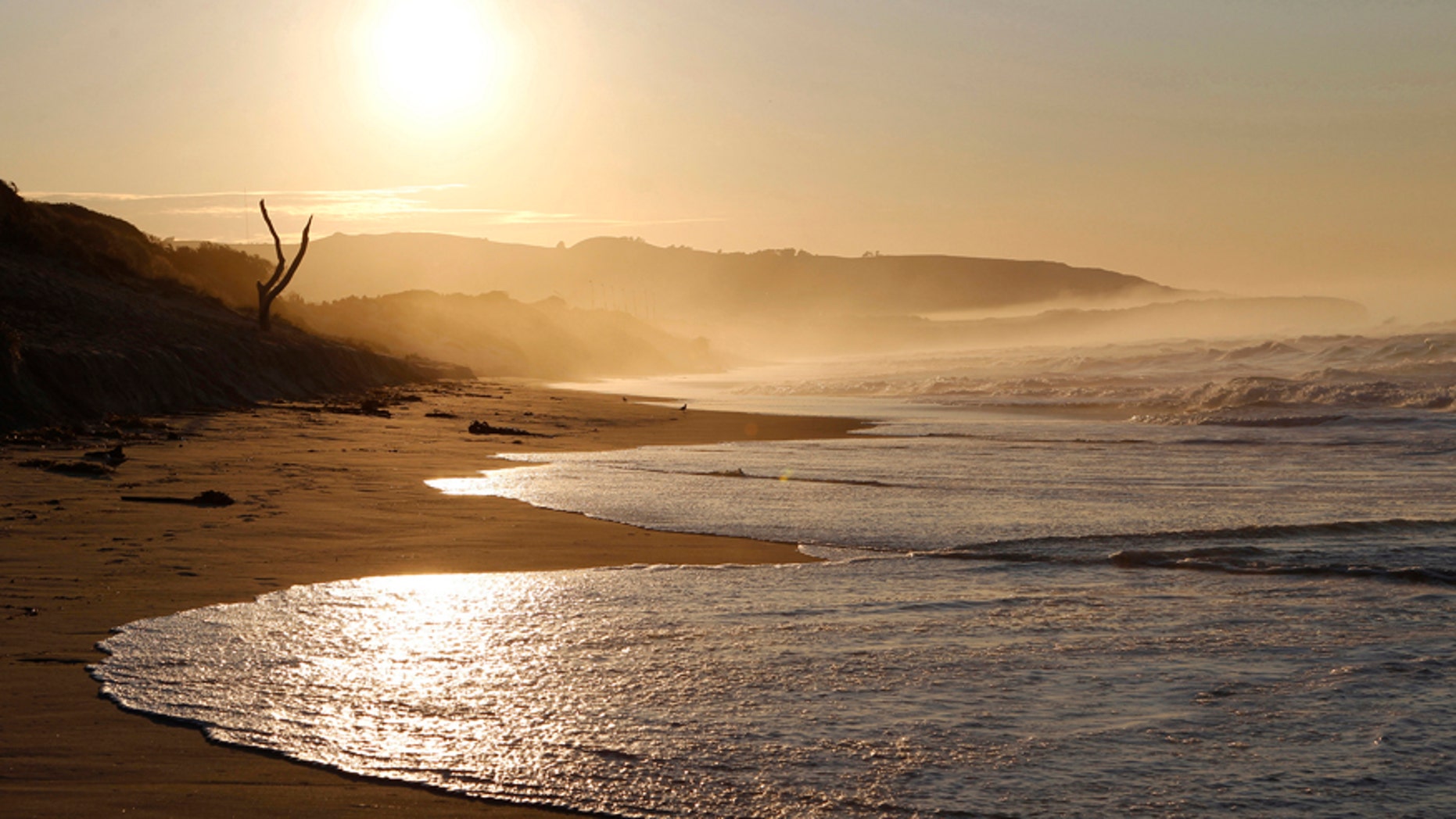 File photo - The sun rises over St. Clair beach in Dunedin Sept. 5, 2011. (REUTERS/Brandon Malone)