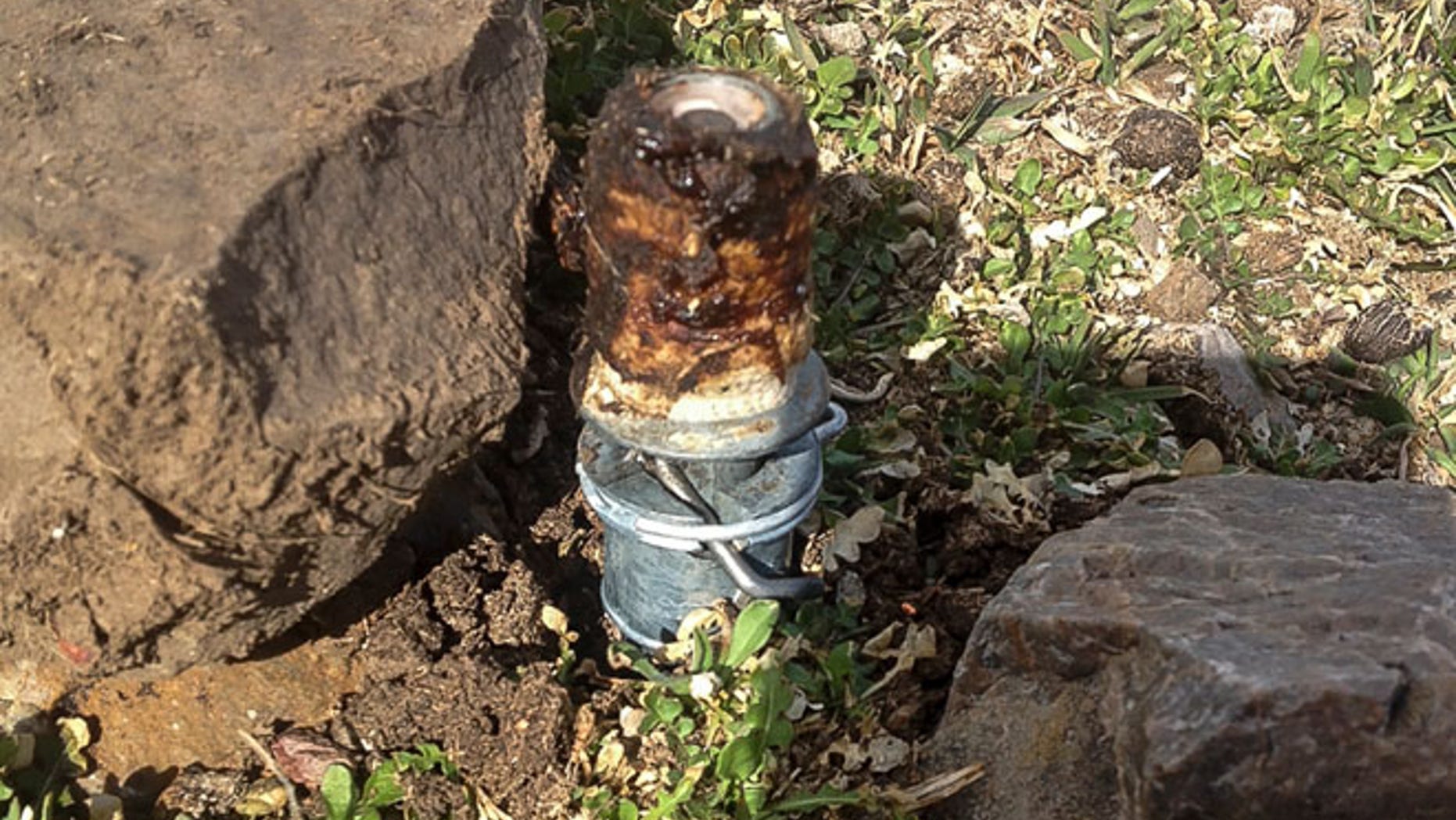 MARCH FILE: An M-44 cyanide device in Pocatello, Idaho It's spring-activated and shoots poison that is meant to kill predators.