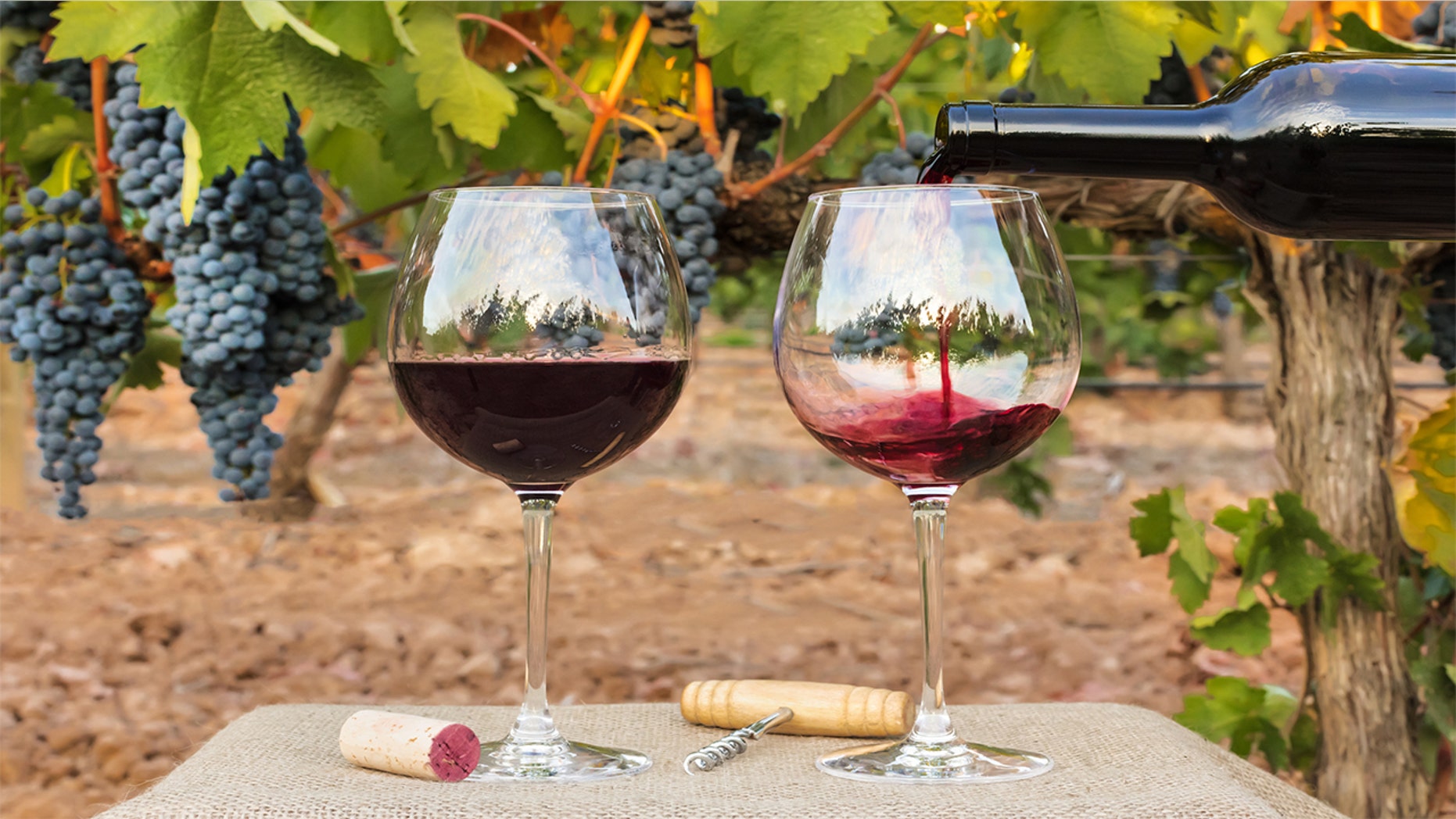 Poor weather in Europe and wildfires in California have damaged thousands of grapes.